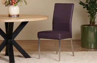 Leren eetkamerstoelen met rvs poten