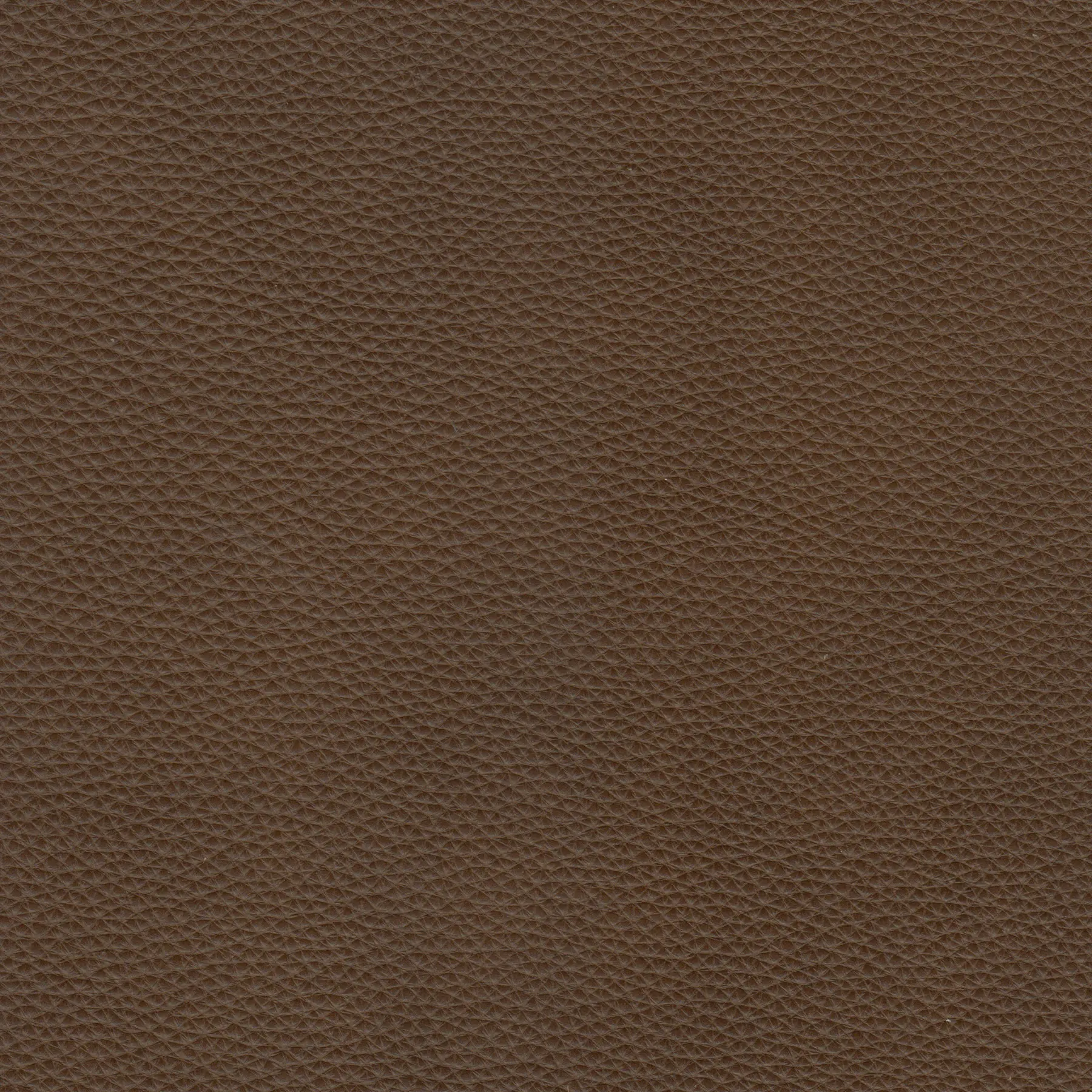 afbeelding van Kleurstaal voor thuis - Elegance Brown (bruin)