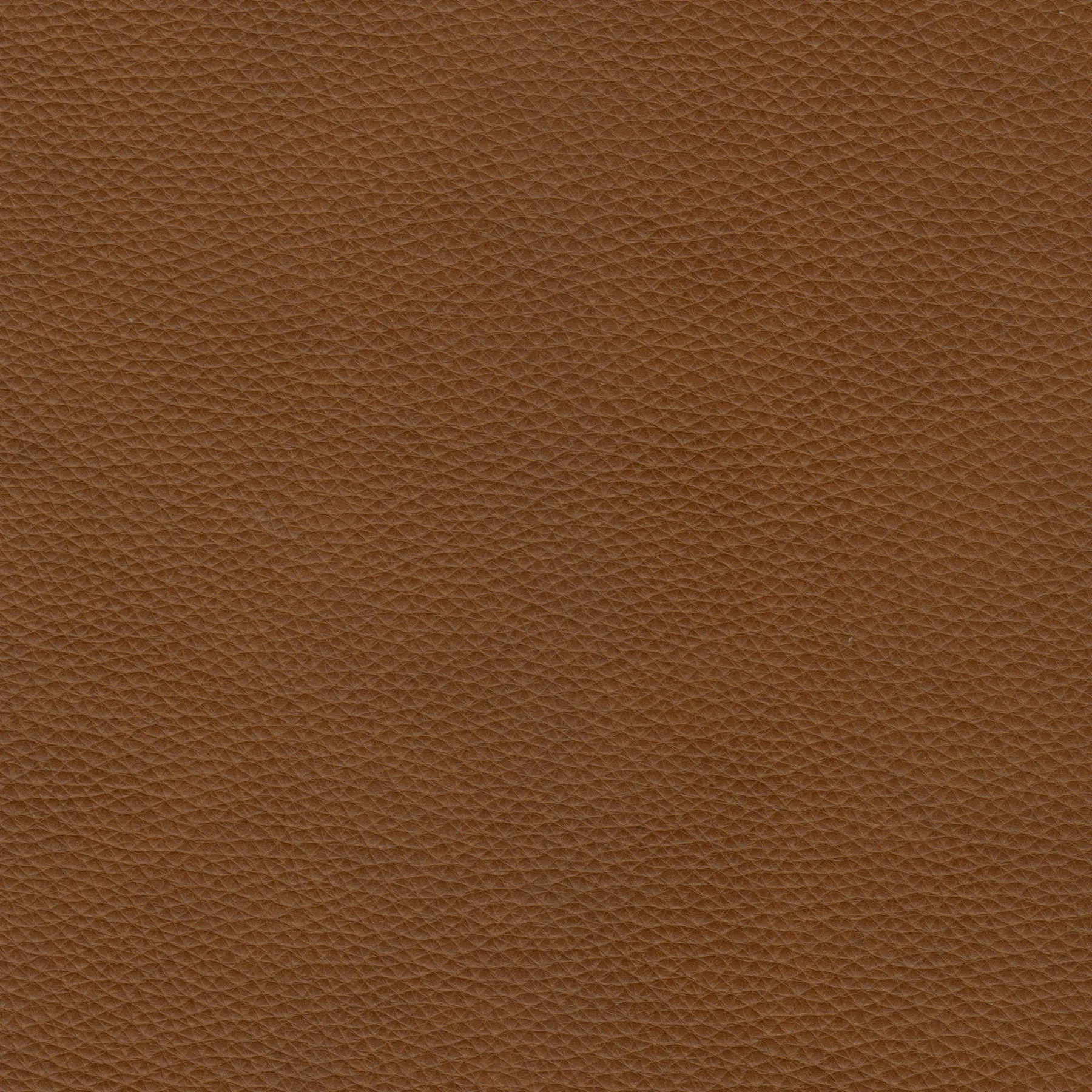 afbeelding van Kleurstaal voor thuis - Elegance Cognac (cognac)