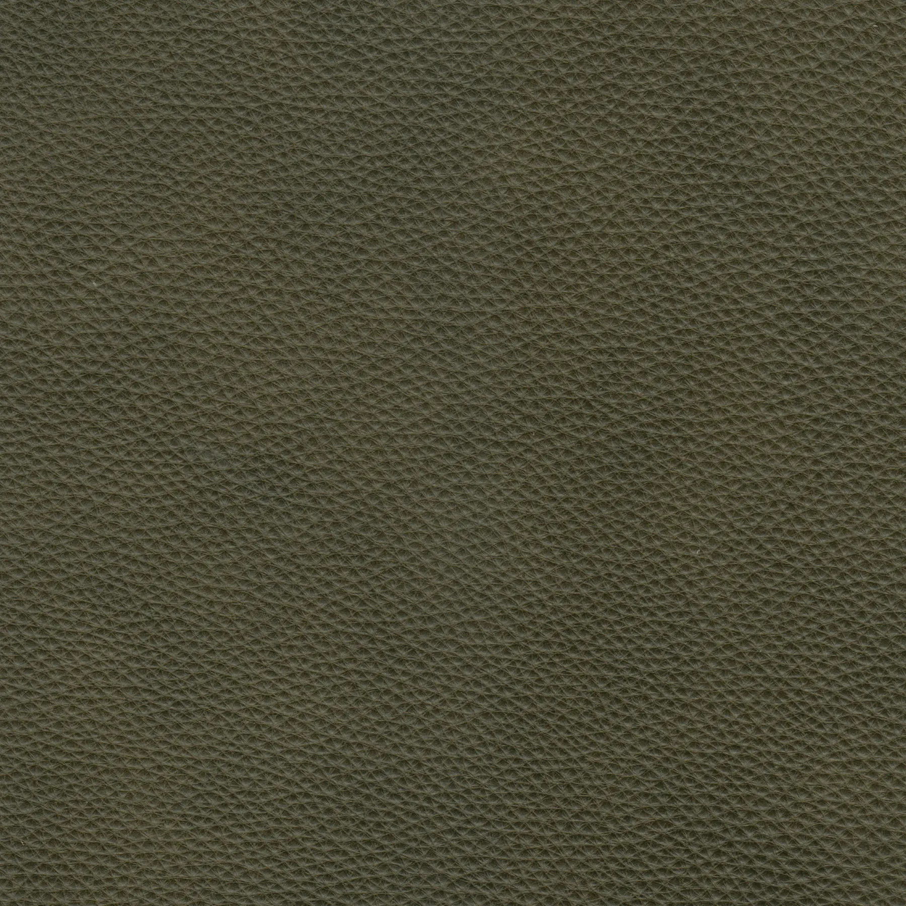 afbeelding van Kleurstaal voor thuis - Elegance Green (donkergroen)