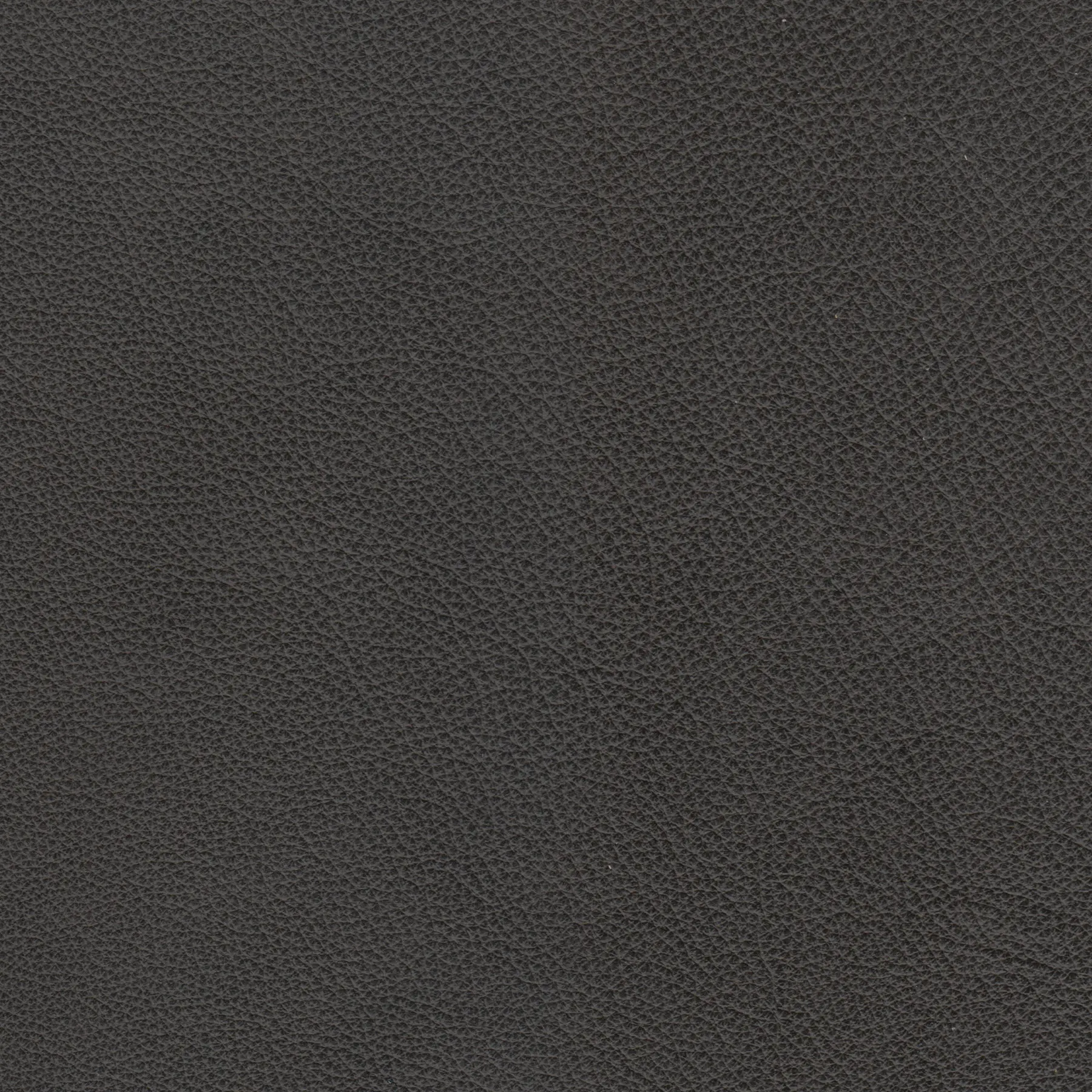 afbeelding van Kleurstaal voor thuis - Granada Graphite (donkergrijs)