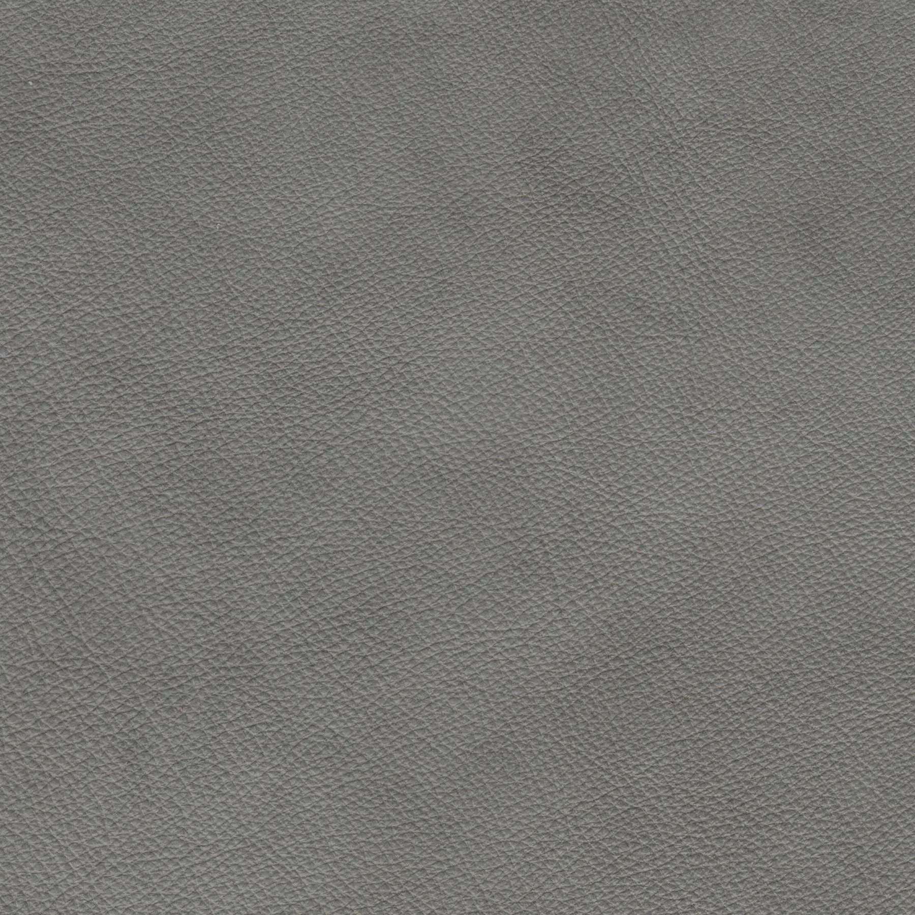 afbeelding van Kleurstaal voor thuis - Granada Steel (grijs)