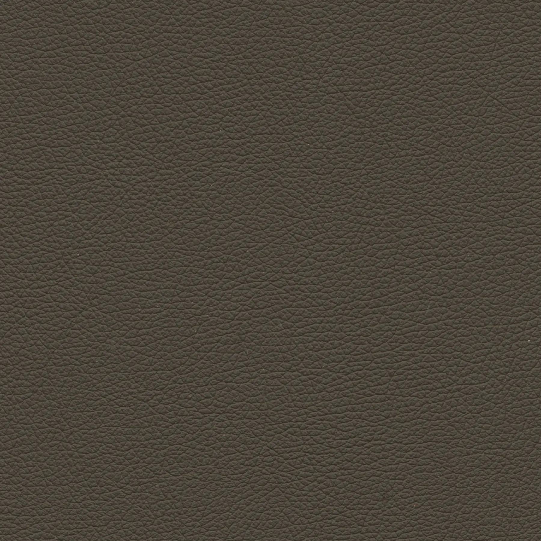 afbeelding van Kleurstaal voor thuis - Hermes Bruin (bruin)