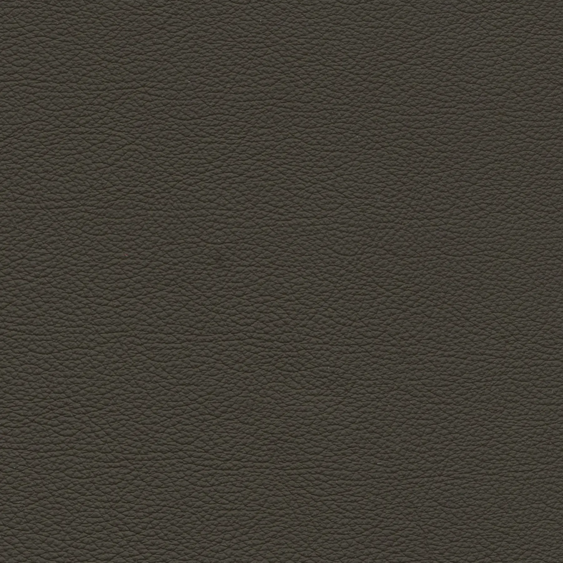 afbeelding van Kleurstaal voor thuis - Hermes Caffe (donkerbruin)