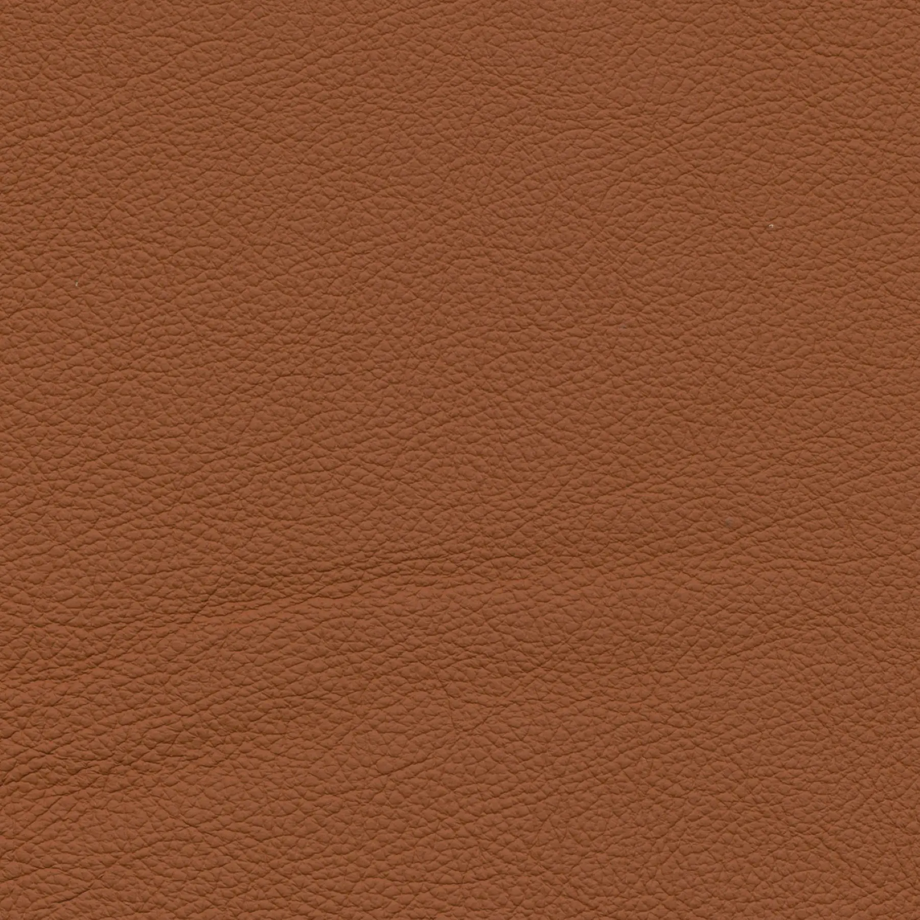 afbeelding van Kleurstaal voor thuis - Hermes Cognac (cognac/oranje)