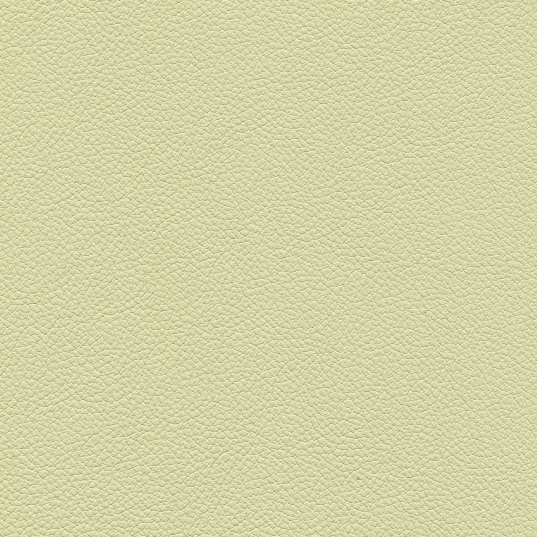 afbeelding van Kleurstaal voor thuis - Hermes Cream (crème)