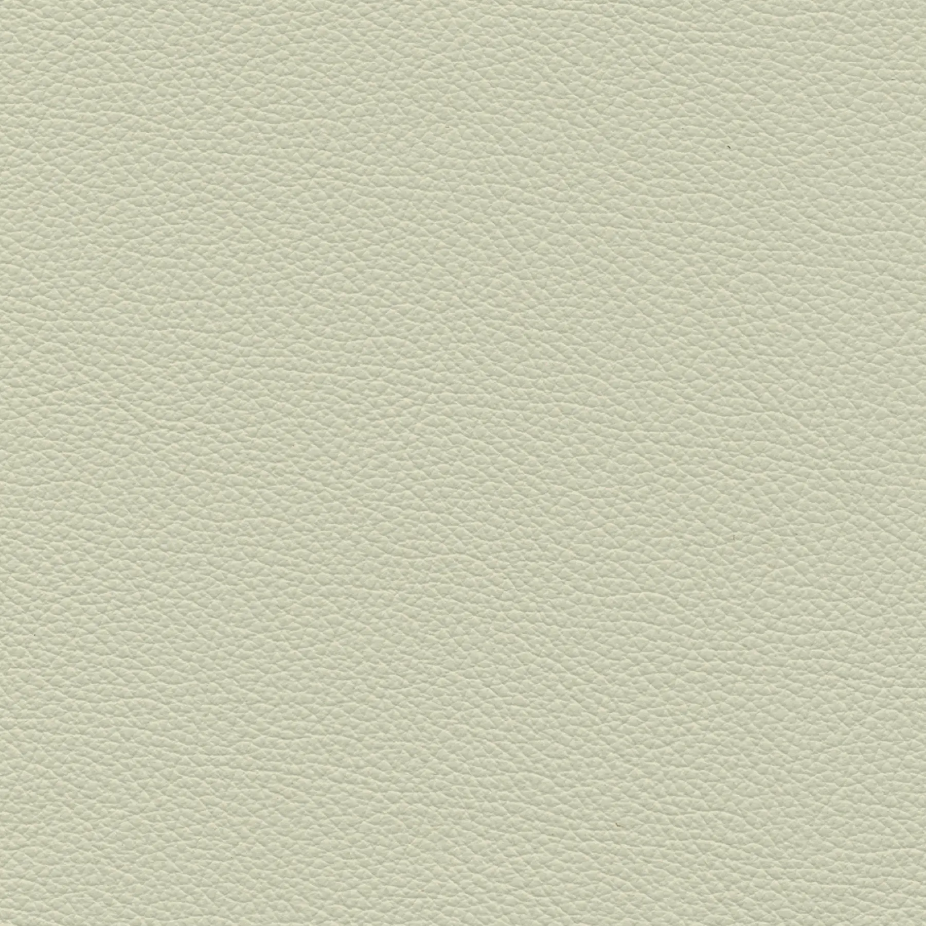 afbeelding van Kleurstaal voor thuis - Hermes Djerba (crème)