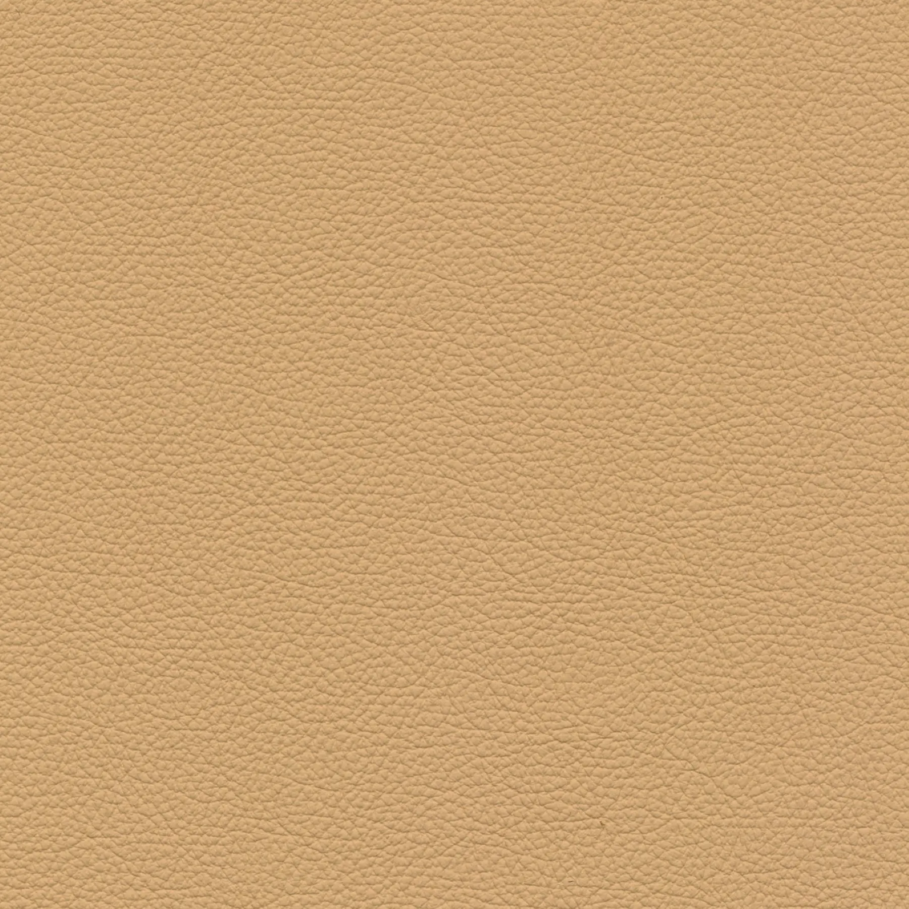 afbeelding van Kleurstaal voor thuis - Hermes Dune (crème)