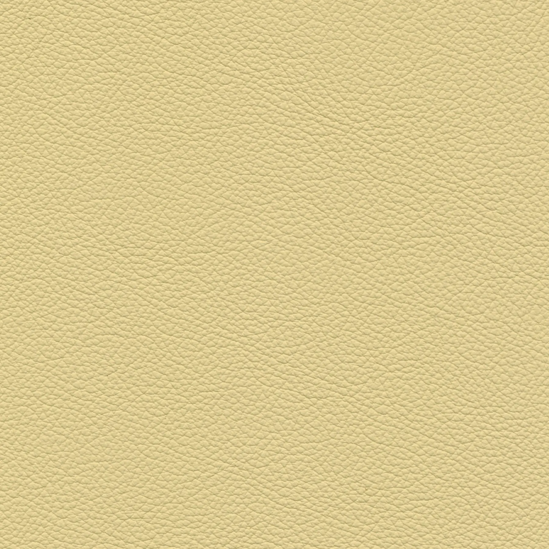 afbeelding van Kleurstaal voor thuis - Hermes Ivory (crème)