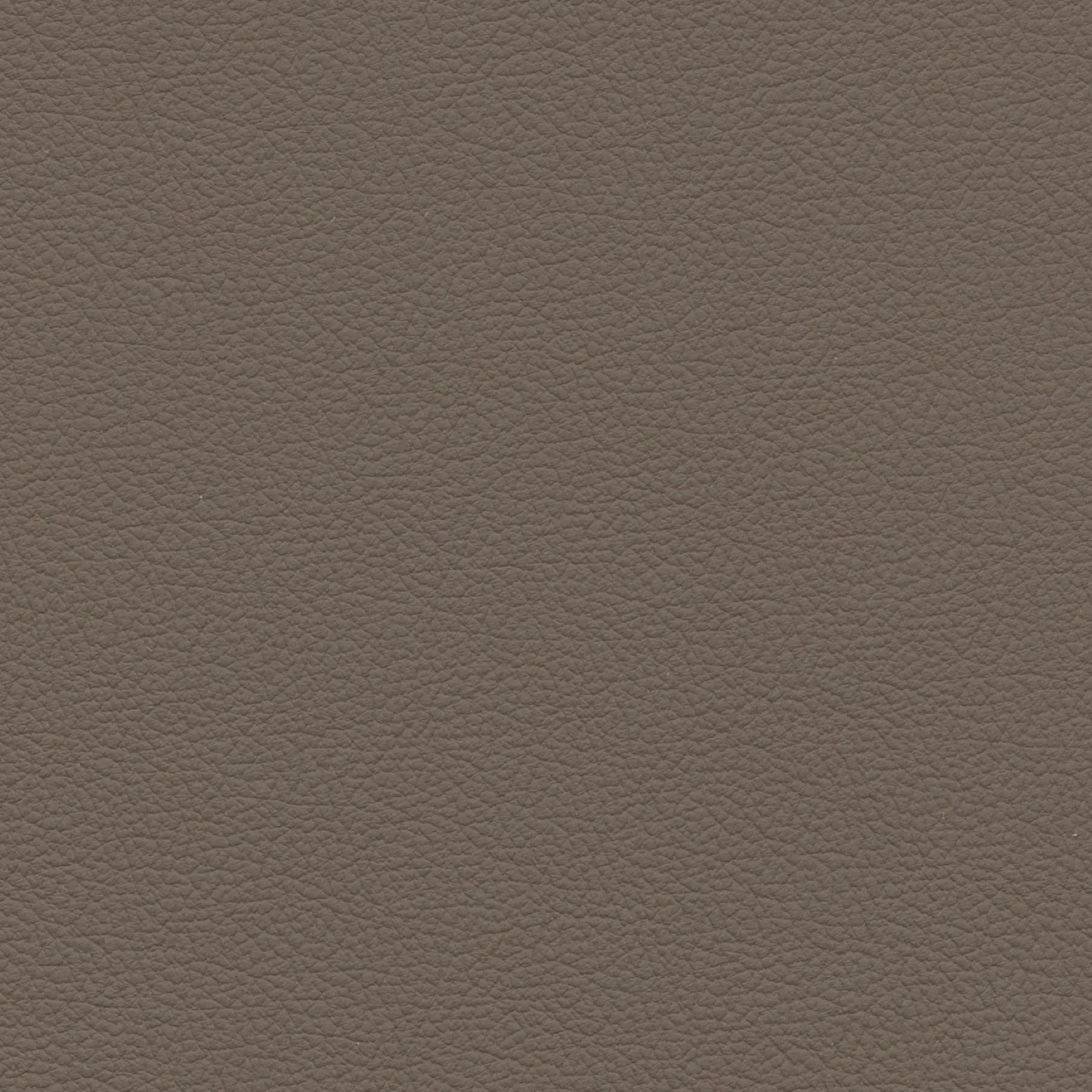 afbeelding van Kleurstaal voor thuis - Hermes Lever (bruin)