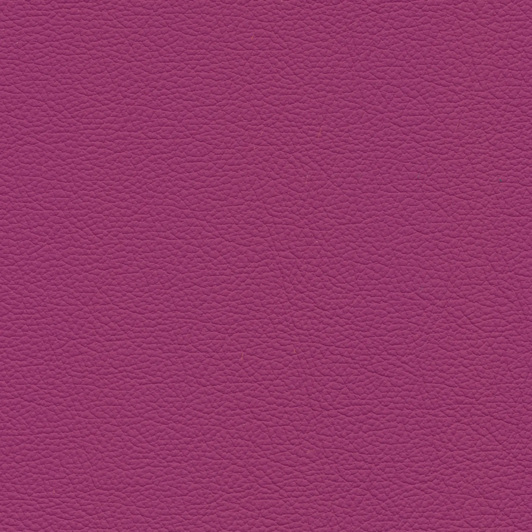 afbeelding van Kleurstaal voor thuis - Hermes Purple (felpaars)