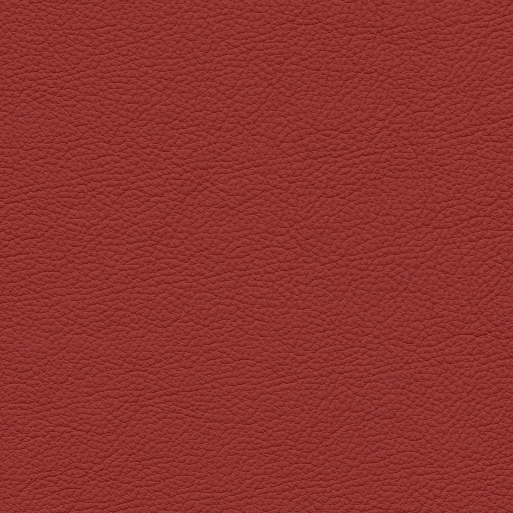 afbeelding van Kleurstaal voor thuis - Hermes Red (rood)