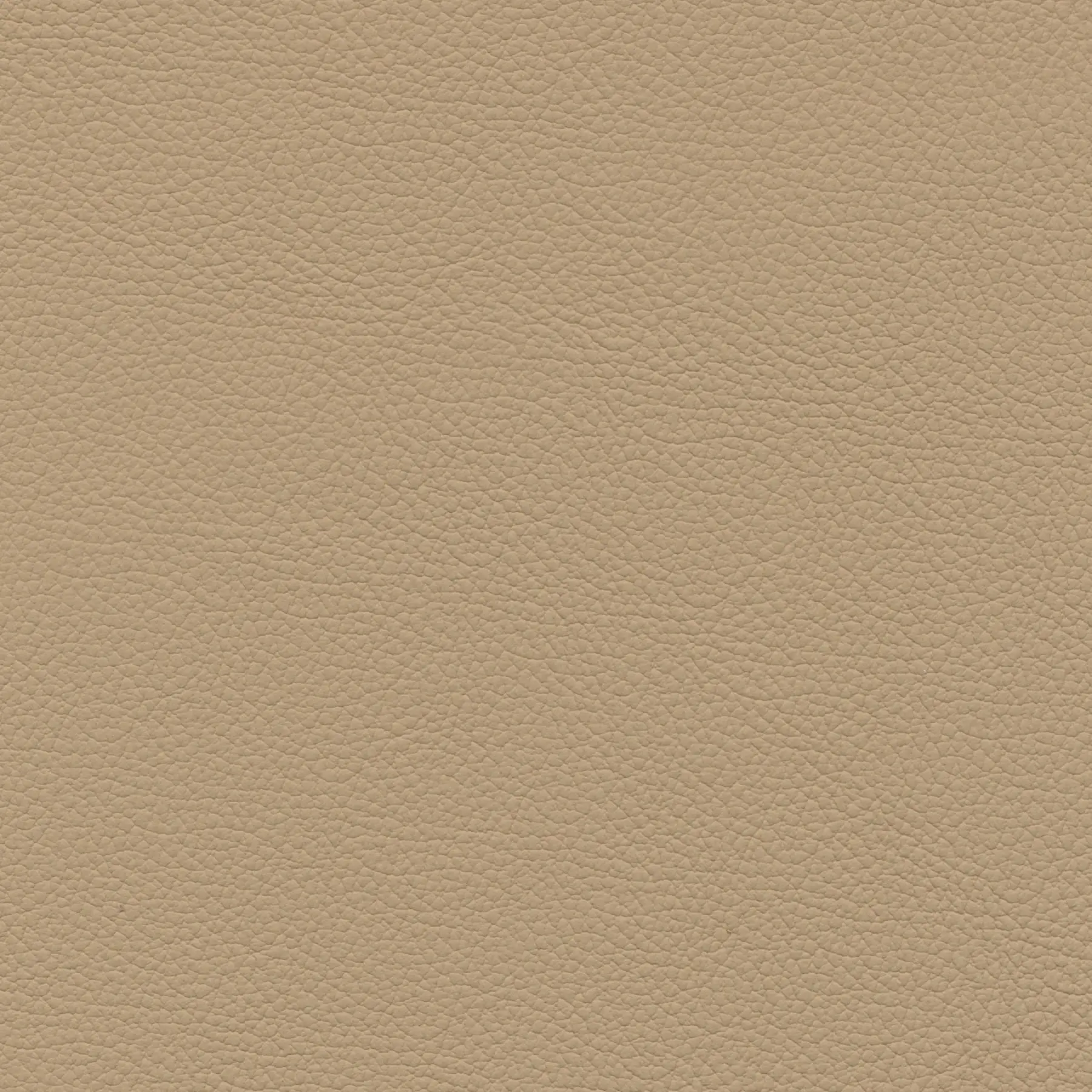 afbeelding van Kleurstaal voor thuis - Hermes Sand (taupe/bruin)