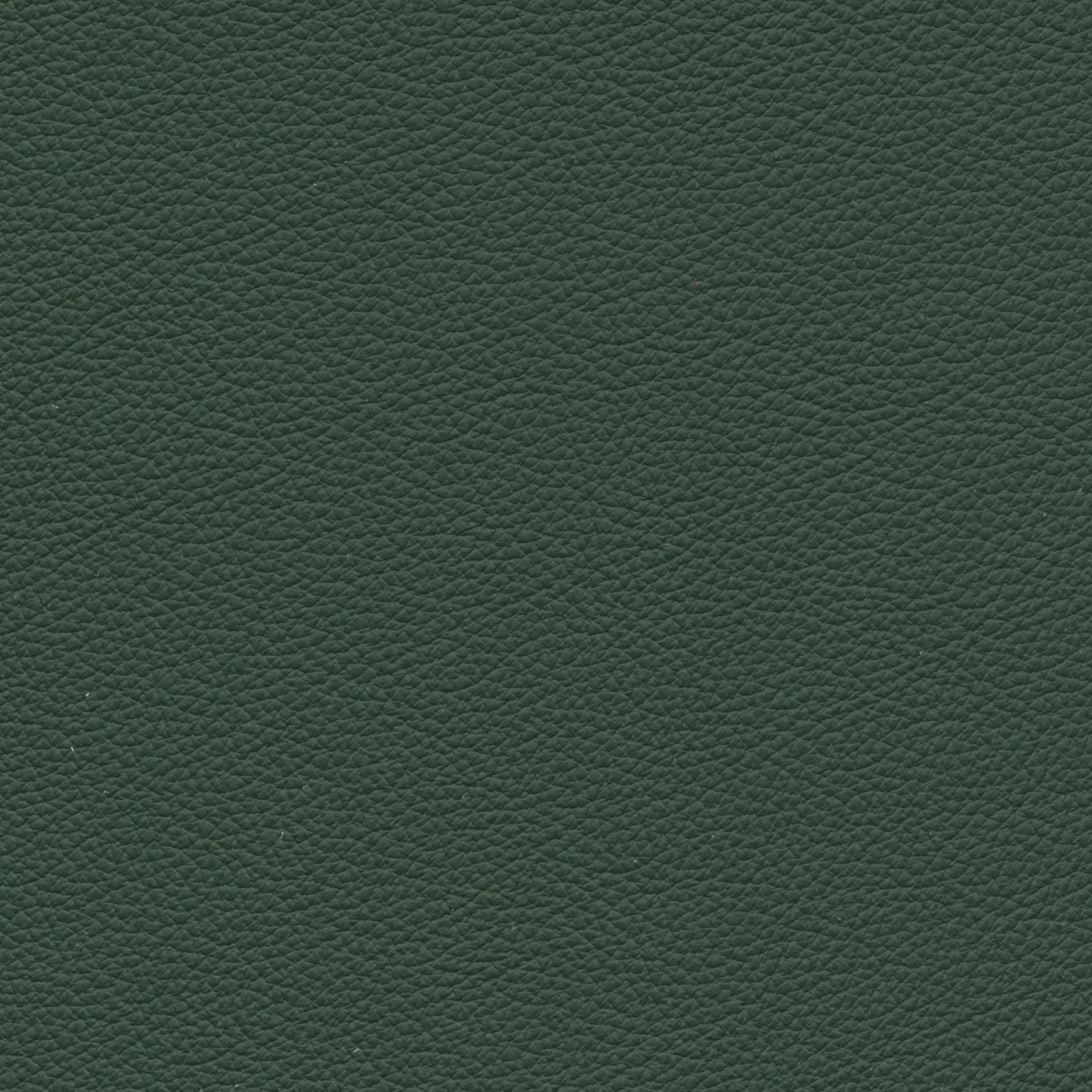 afbeelding van Kleurstaal voor thuis - Hermes Verde (donkergroen)