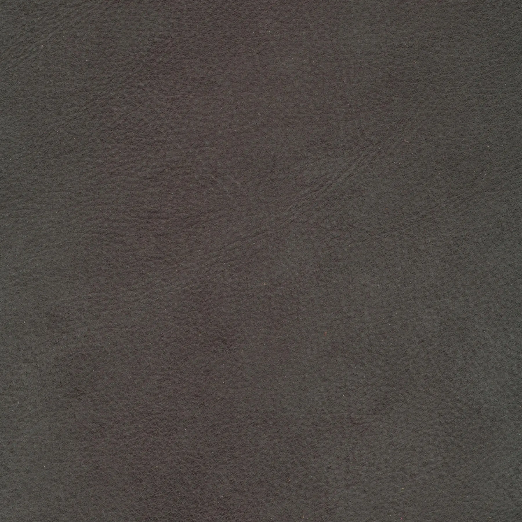 afbeelding van Kleurstaal voor thuis - Kenia Antracite (grijs)