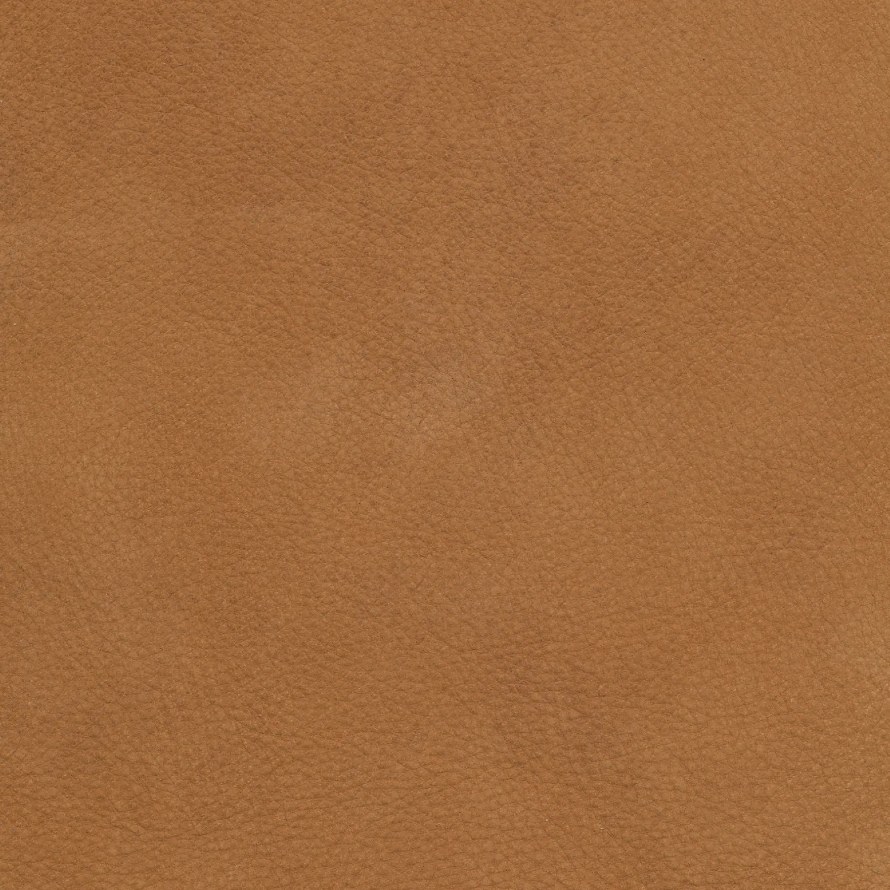 afbeelding van Kleurstaal voor thuis - Kenia Cognac (cognac)