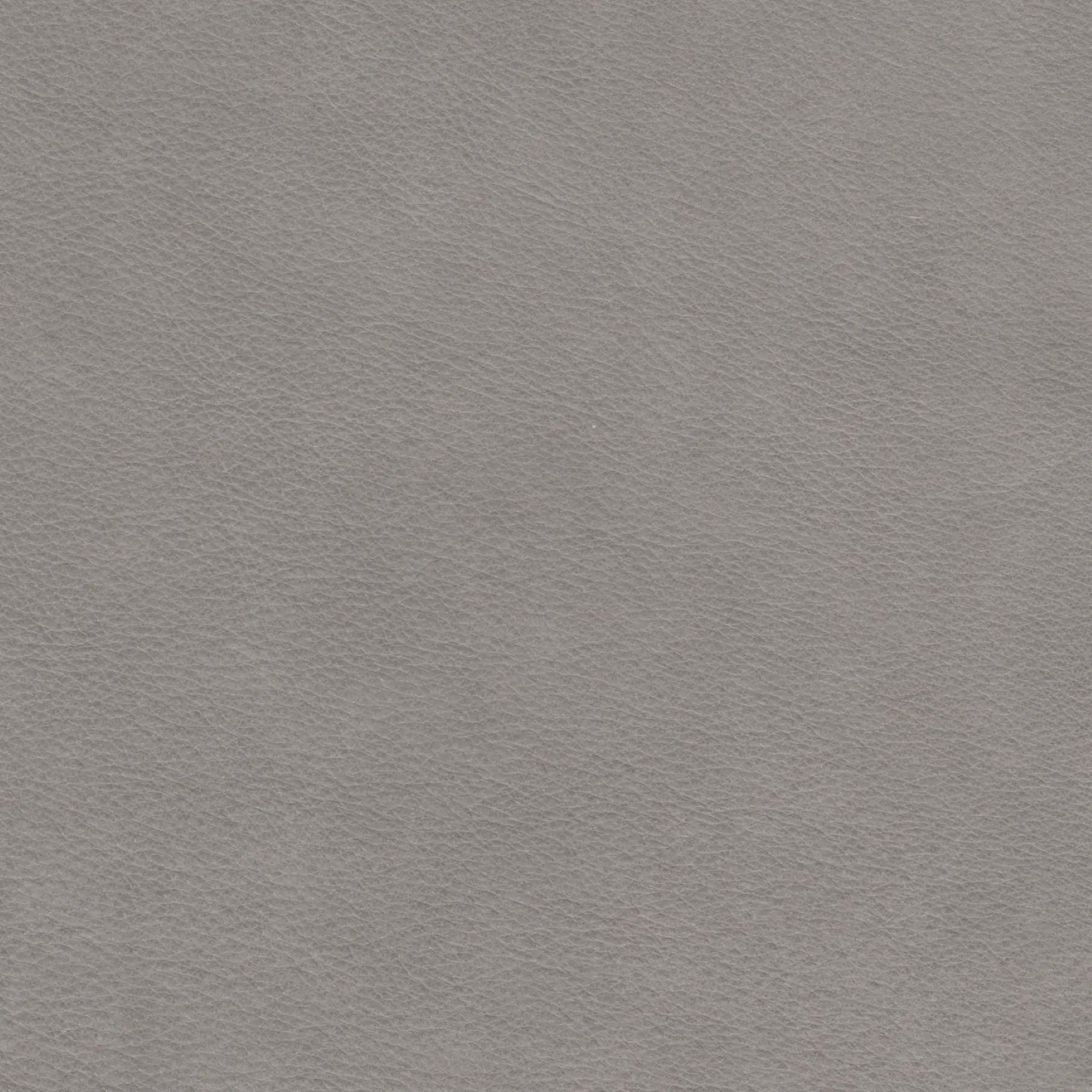 afbeelding van Kleurstaal voor thuis - Kenia Lightgrey (lichtgrijs)