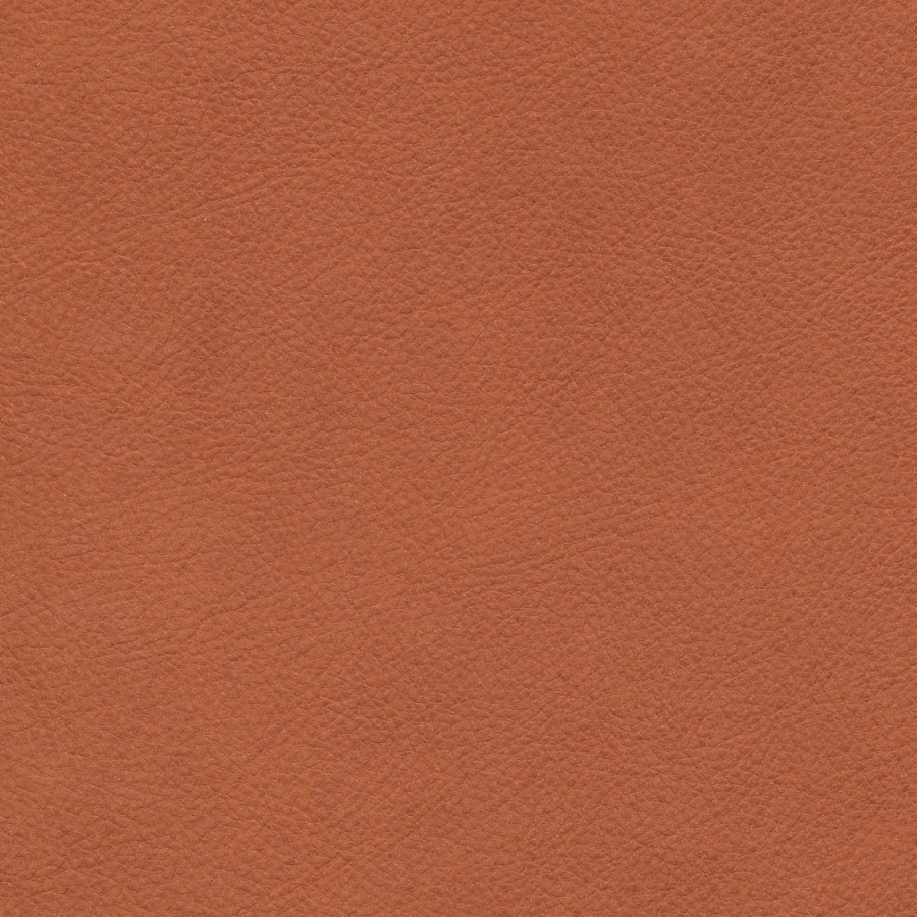 afbeelding van Kleurstaal voor thuis - Kenia Rost (oranje)