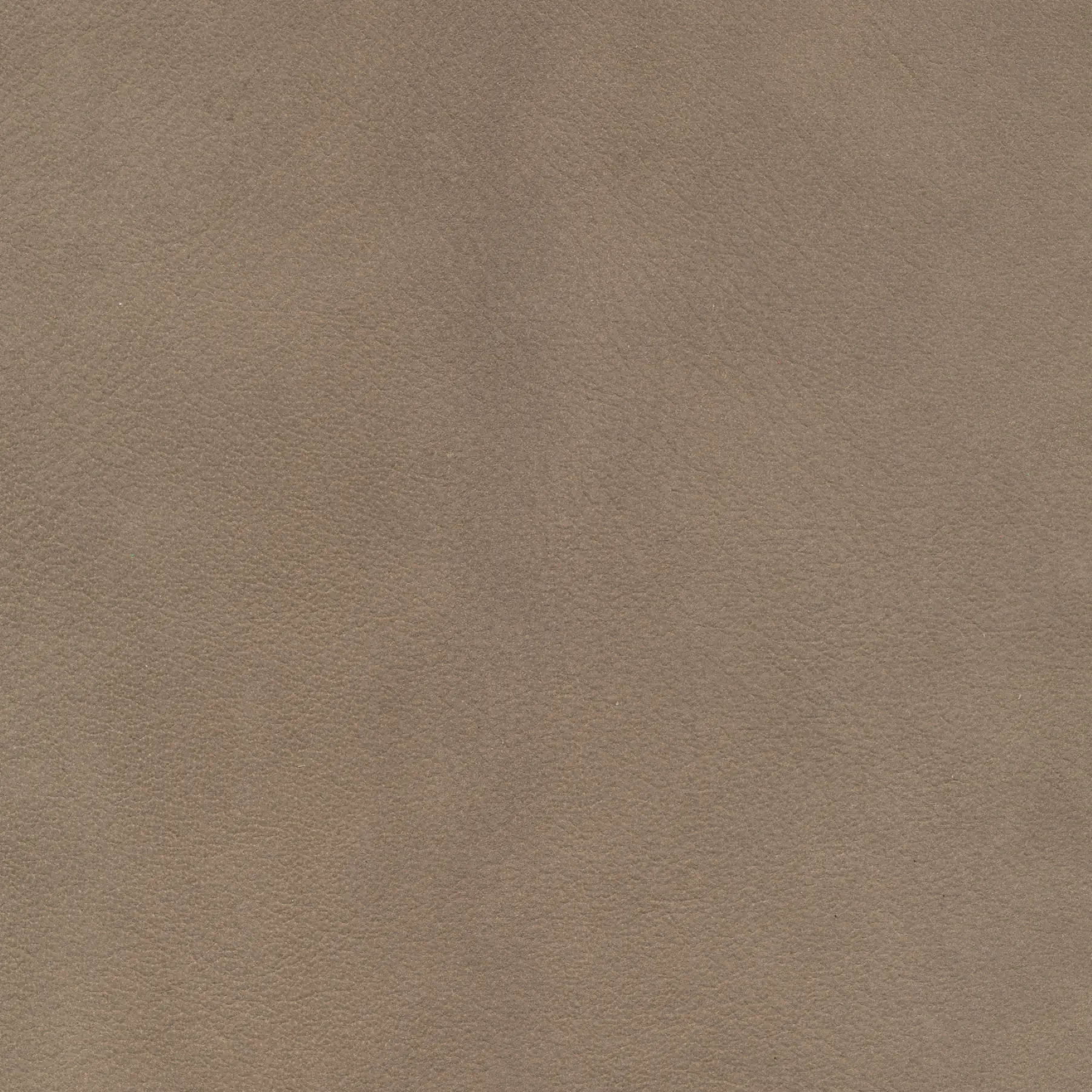 afbeelding van Kleurstaal voor thuis - Kenia Taupe (taupe/bruin)