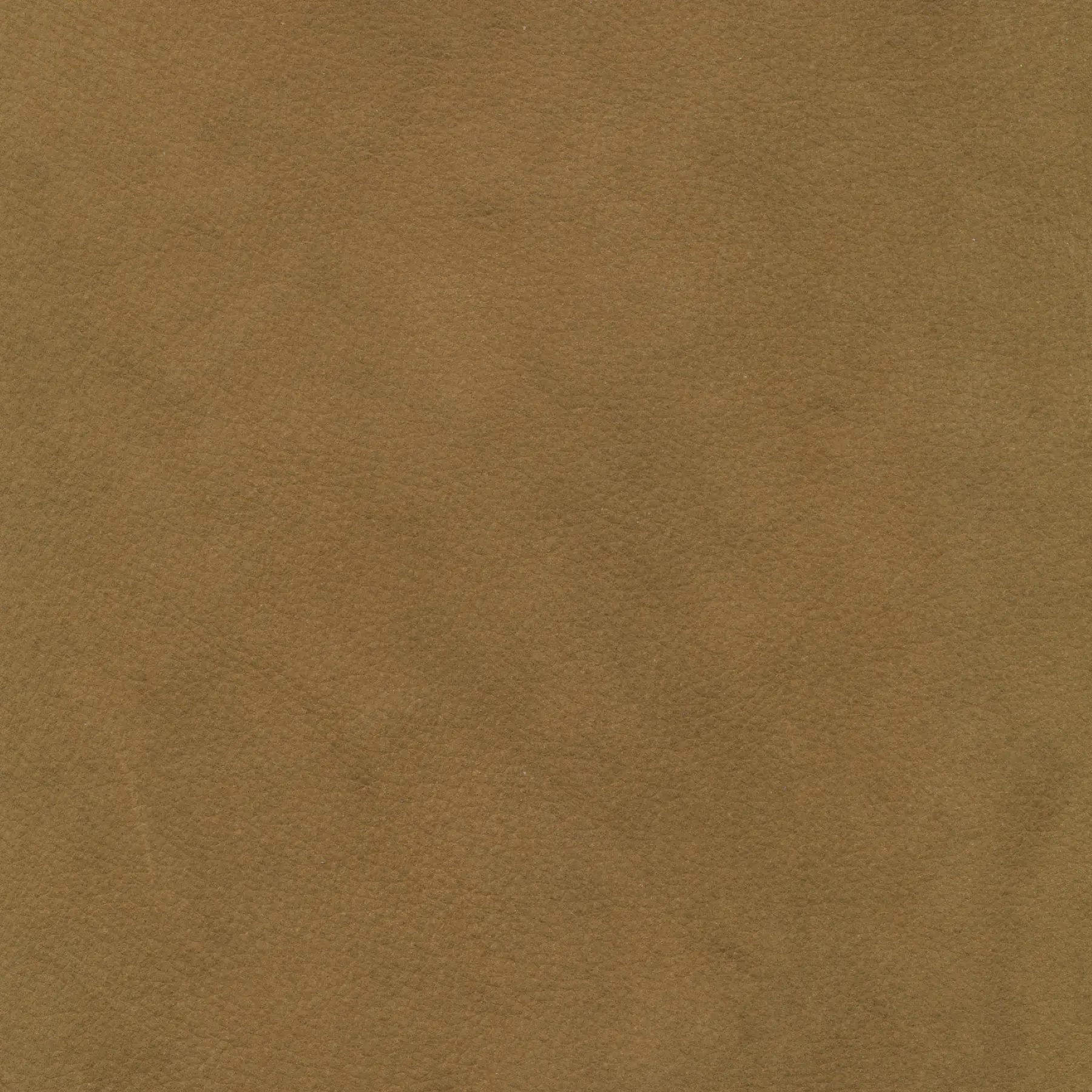 afbeelding van Kleurstaal voor thuis - Kenia Walnut (cognac)