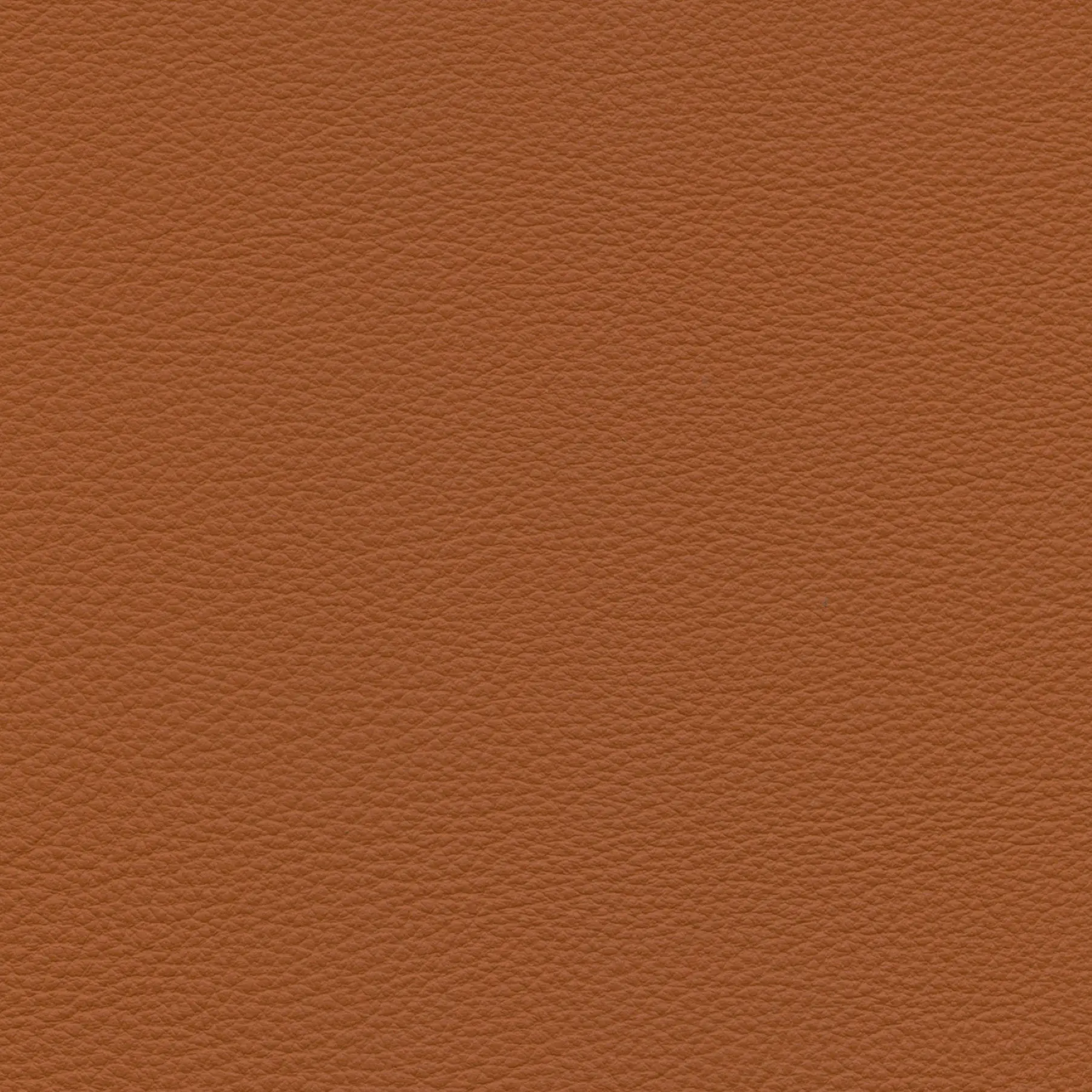 afbeelding van Kleurstaal voor thuis - Massif Amaretto (cognac)