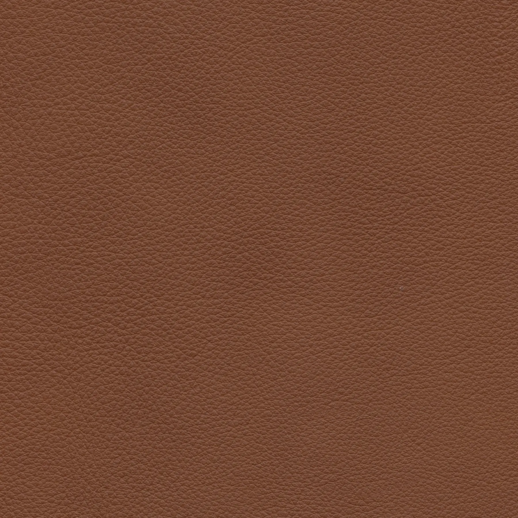 afbeelding van Kleurstaal voor thuis - Massif Armagnac (donkercognac)