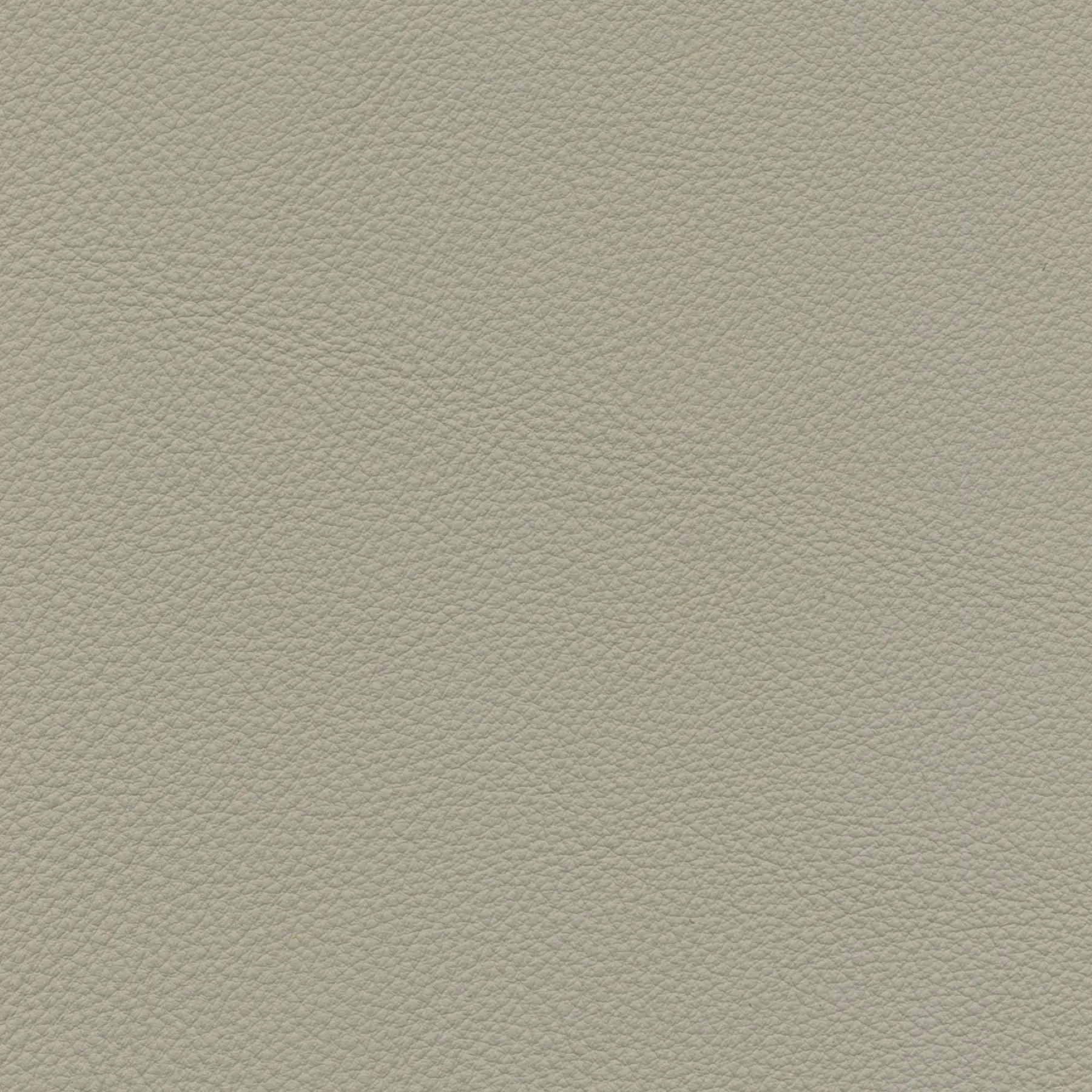 afbeelding van Kleurstaal voor thuis - Massif Dove (lichtgrijs)