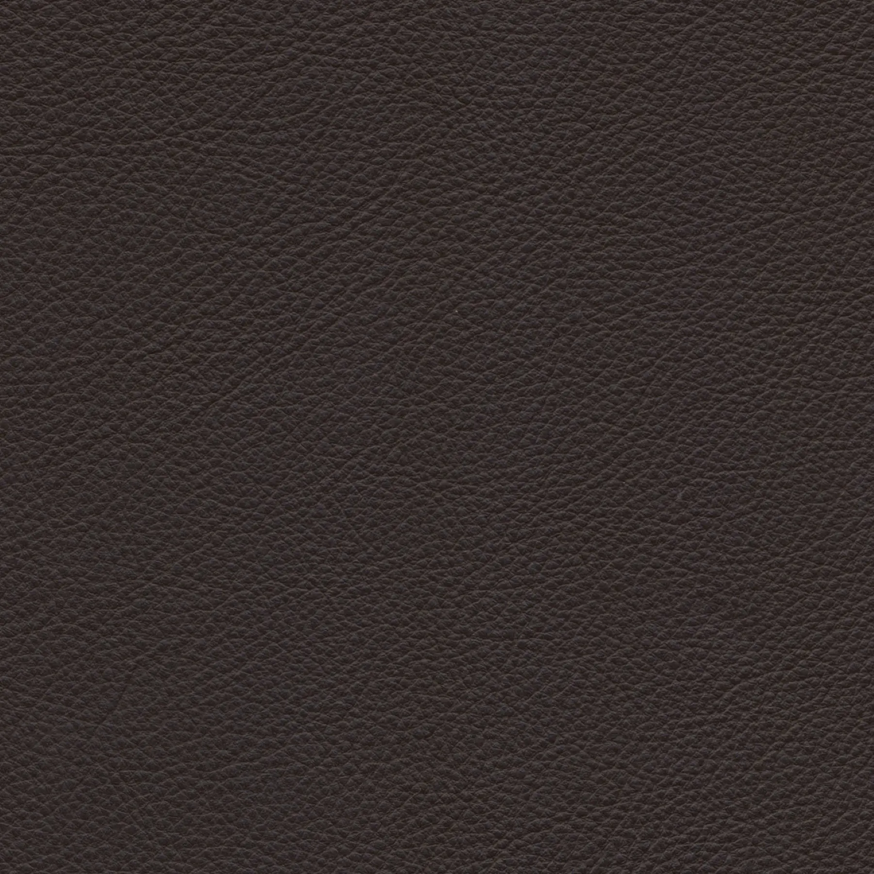 afbeelding van Kleurstaal voor thuis - Massif Marron (donkerbruin)