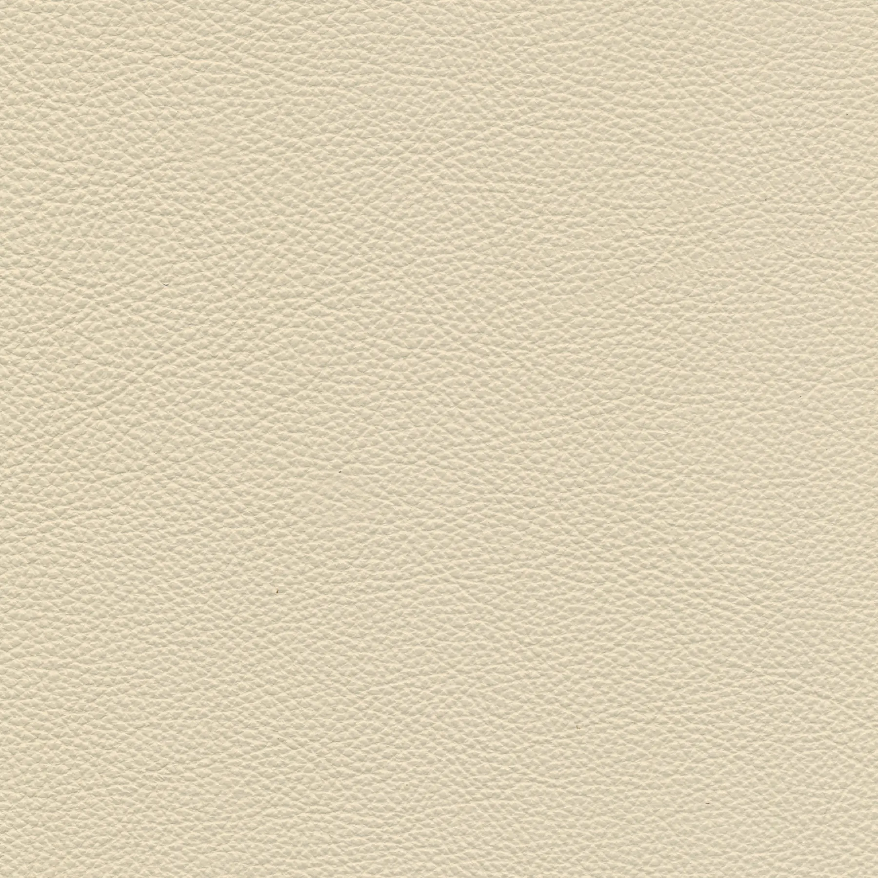 afbeelding van Kleurstaal voor thuis - Massif Offwhite (gebroken wit)