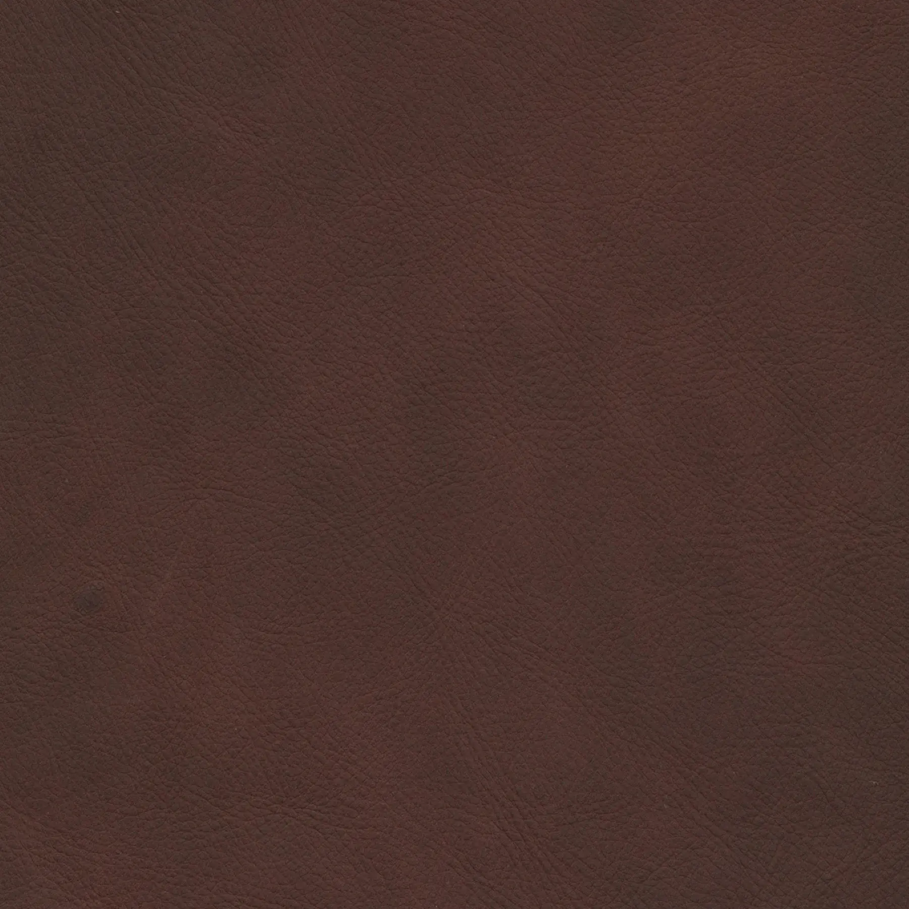 afbeelding van Kleurstaal voor thuis - Rancho Brown (bruin)