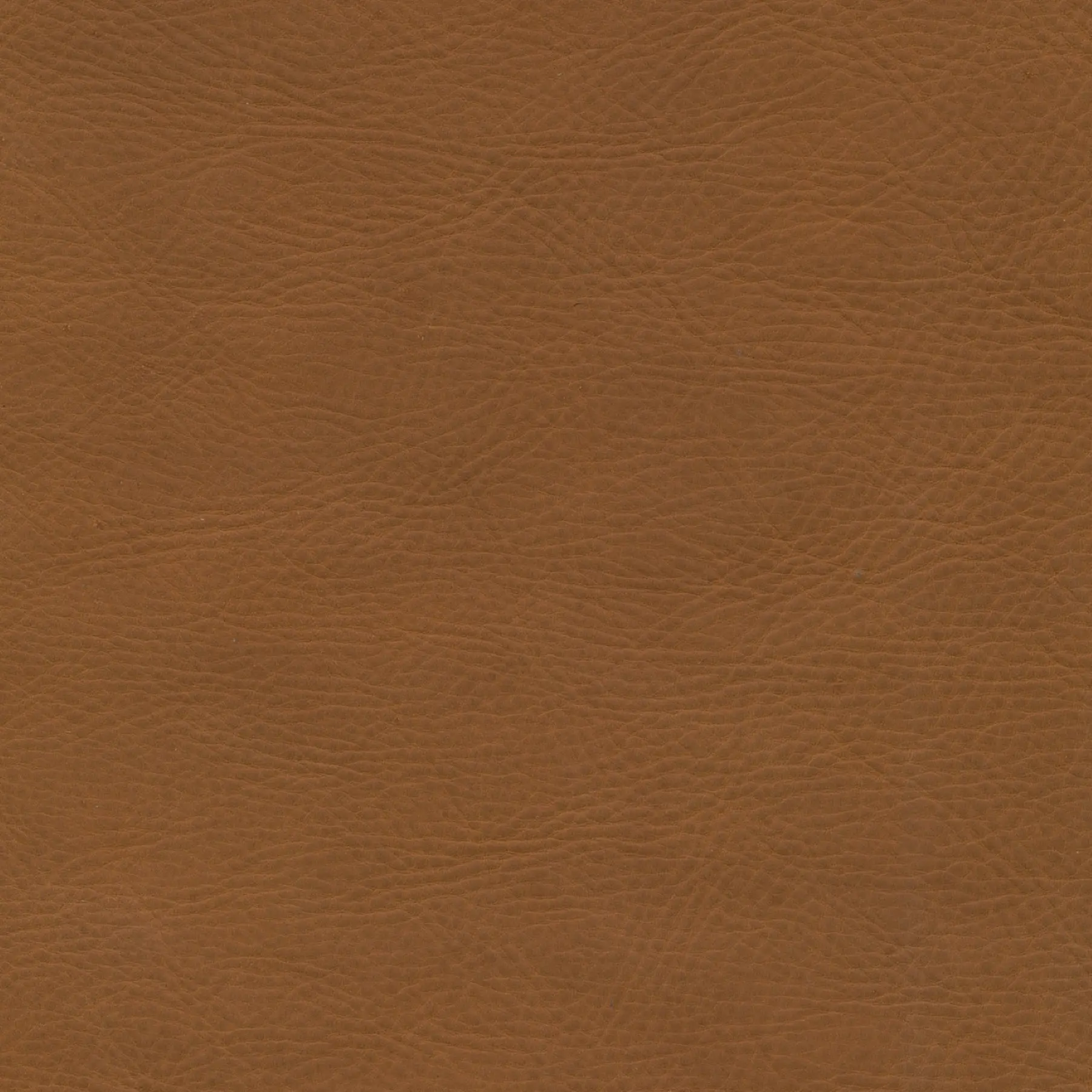 afbeelding van Kleurstaal voor thuis - Rancho Cognac (cognac)