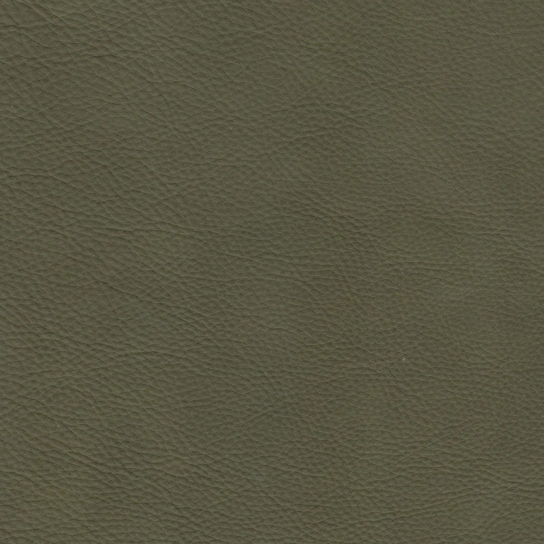 afbeelding van Kleurstaal voor thuis - Rancho Green (olijf/groen)