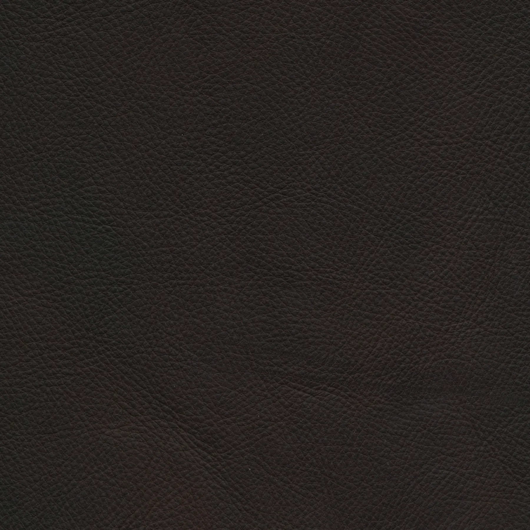 afbeelding van Kleurstaal voor thuis - Rancho Moro (donkerbruin)