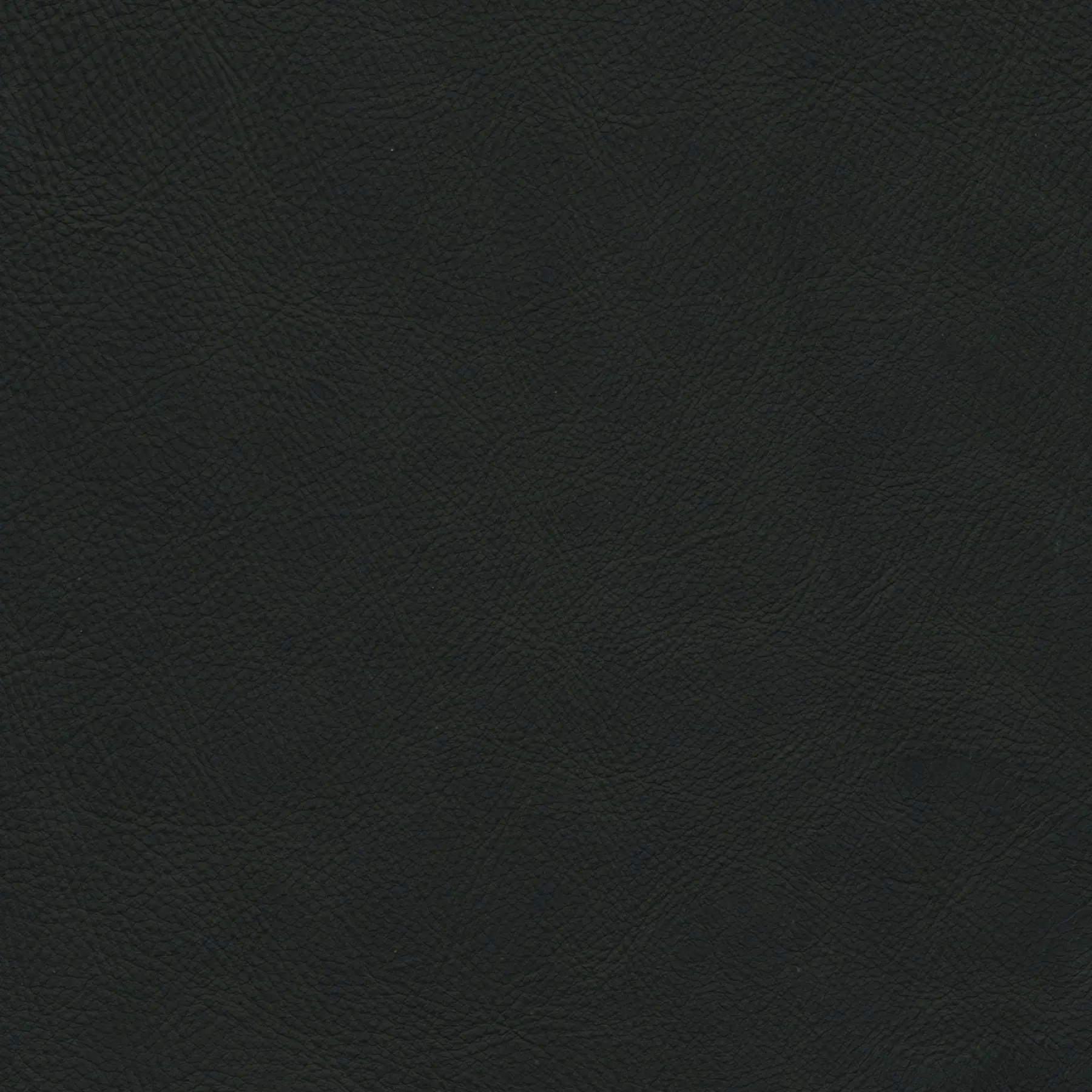 afbeelding van Kleurstaal voor thuis - Rancho Nero (zwart)