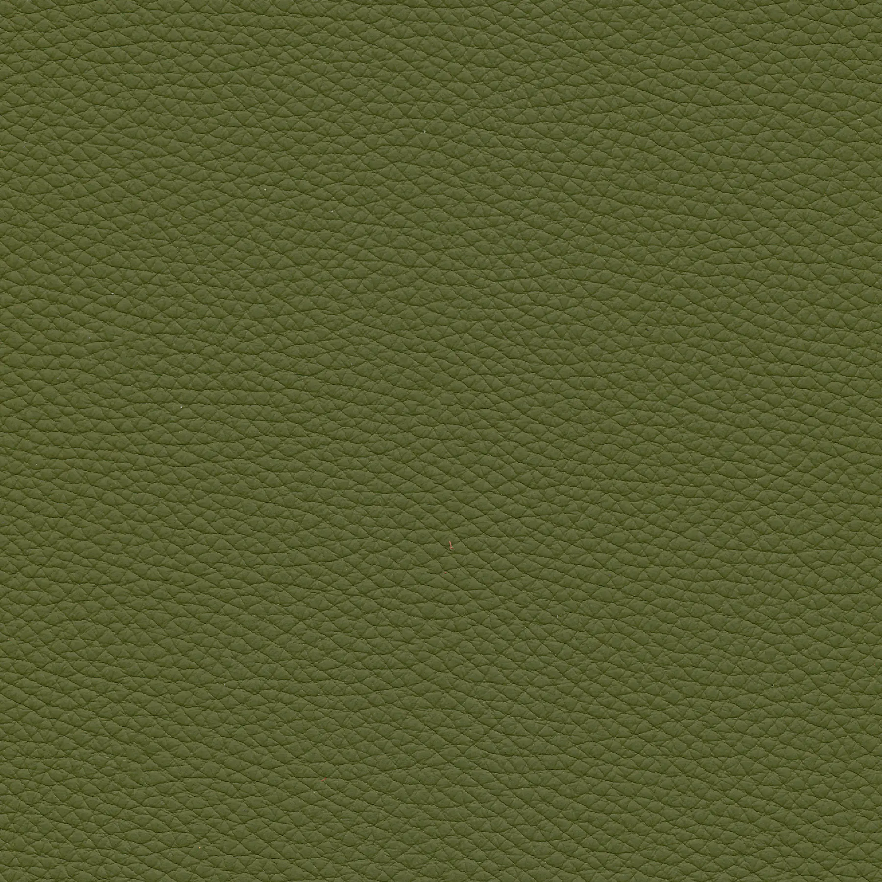 afbeelding van Kleurstaal voor thuis - Toledo Apple Green (groen)