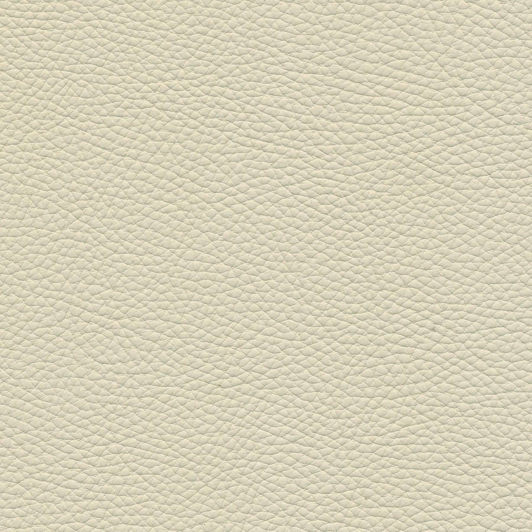 afbeelding van Kleurstaal voor thuis - Toledo Avorio (crème)