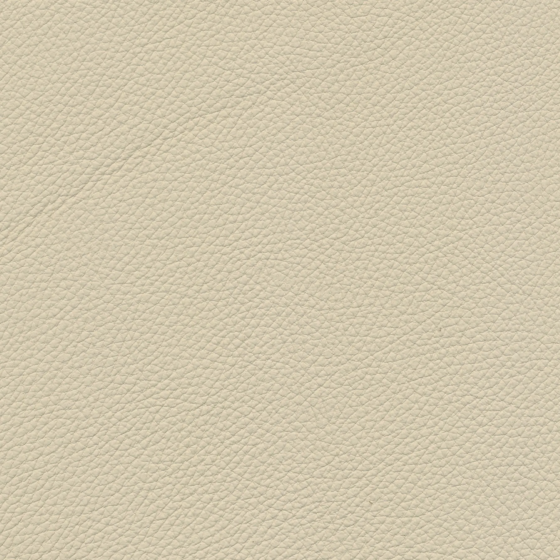 afbeelding van Kleurstaal voor thuis - Toledo Betulla (crème)