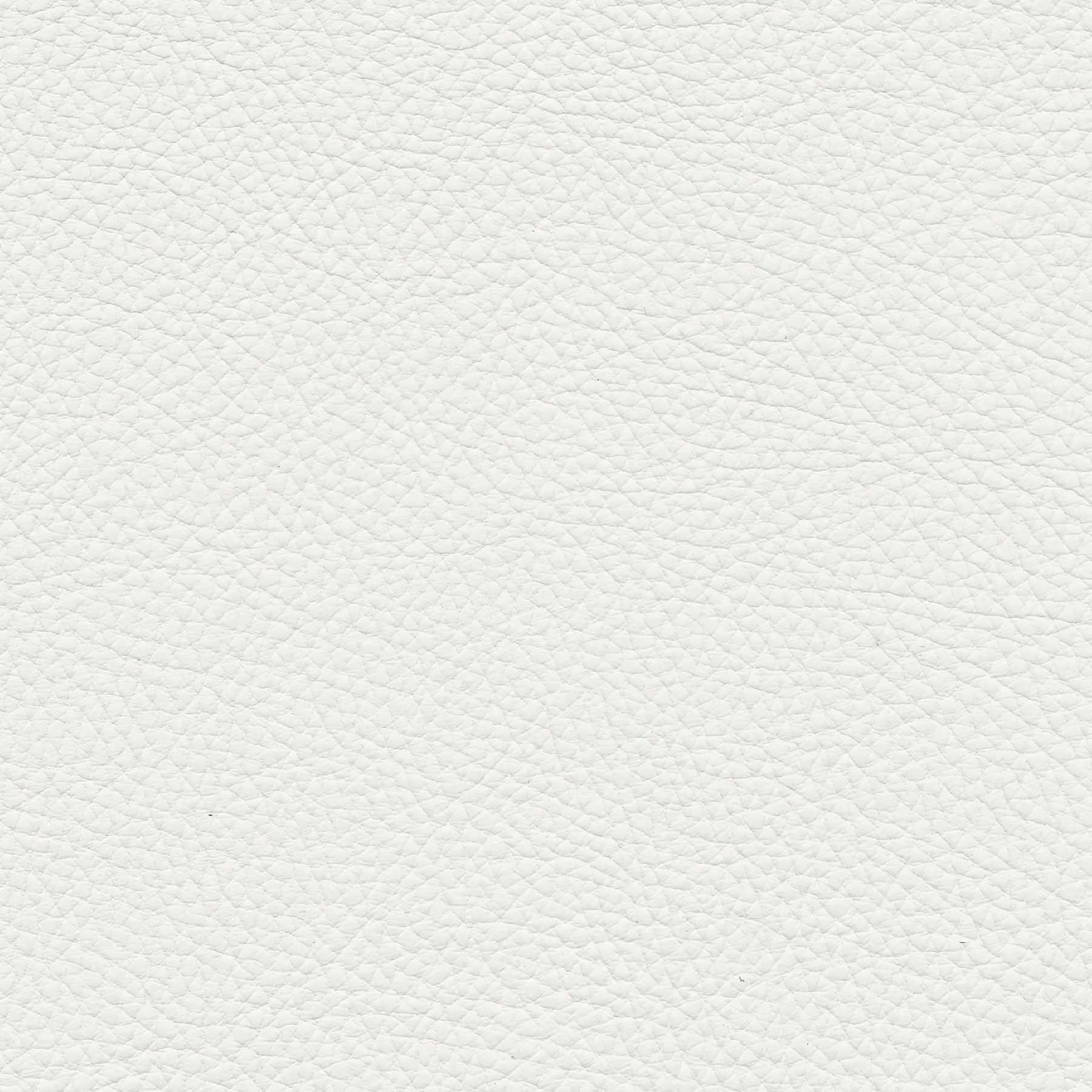 afbeelding van Kleurstaal voor thuis - Toledo Bianco (gebroken wit)