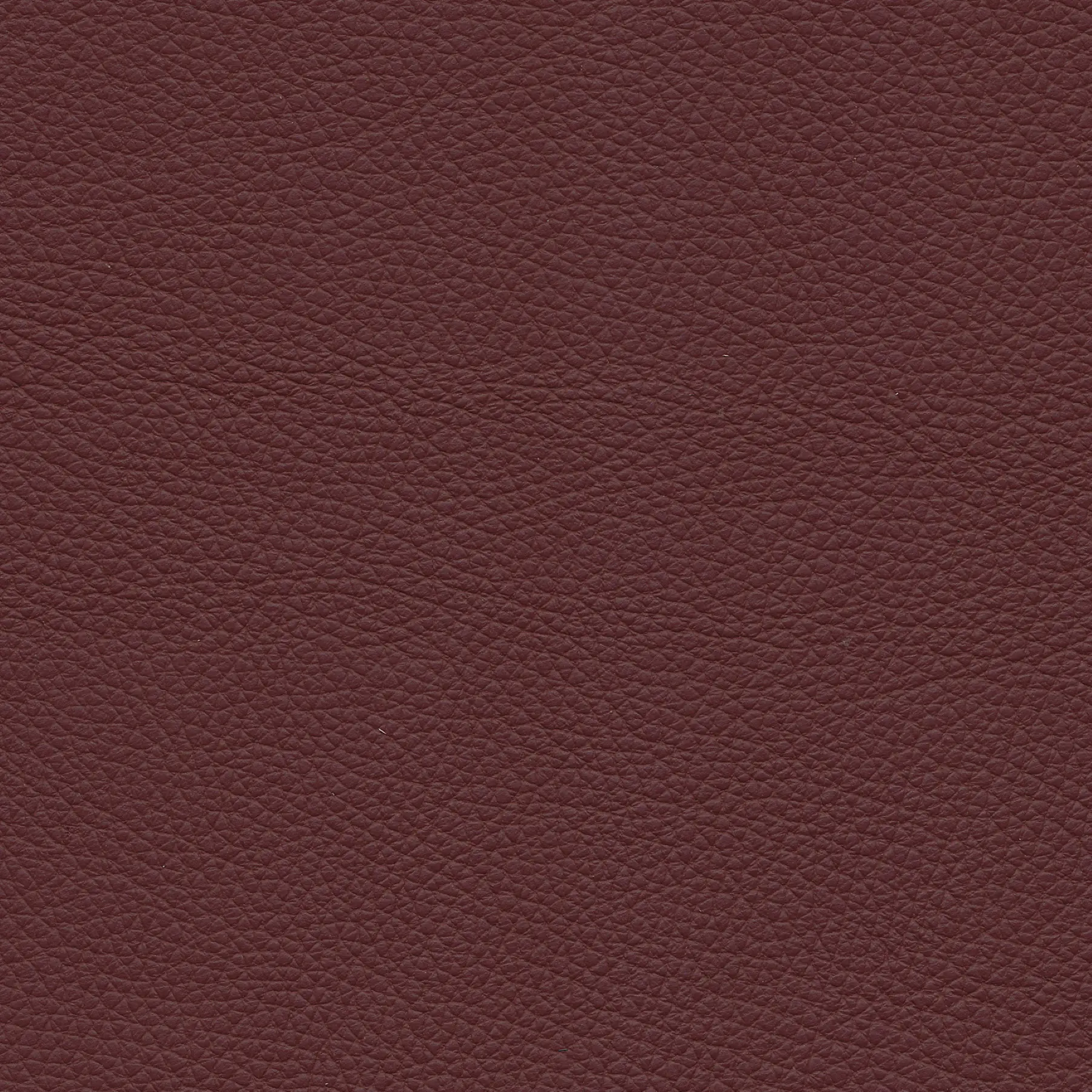 afbeelding van Kleurstaal voor thuis - Toledo Bordeaux (donkerrood)