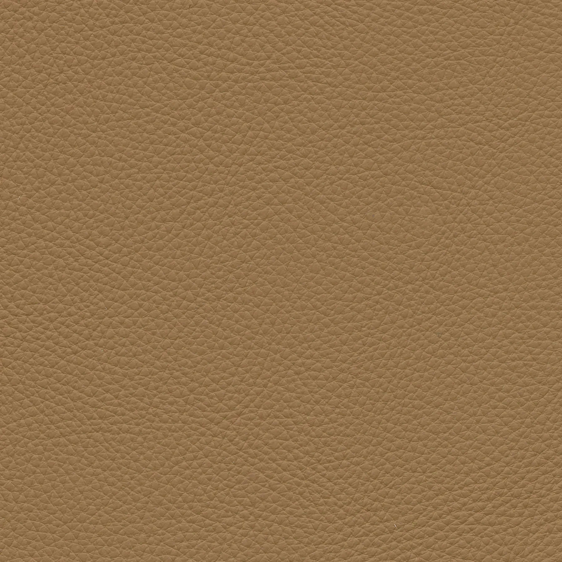 afbeelding van Kleurstaal voor thuis - Toledo Camel (bruin)