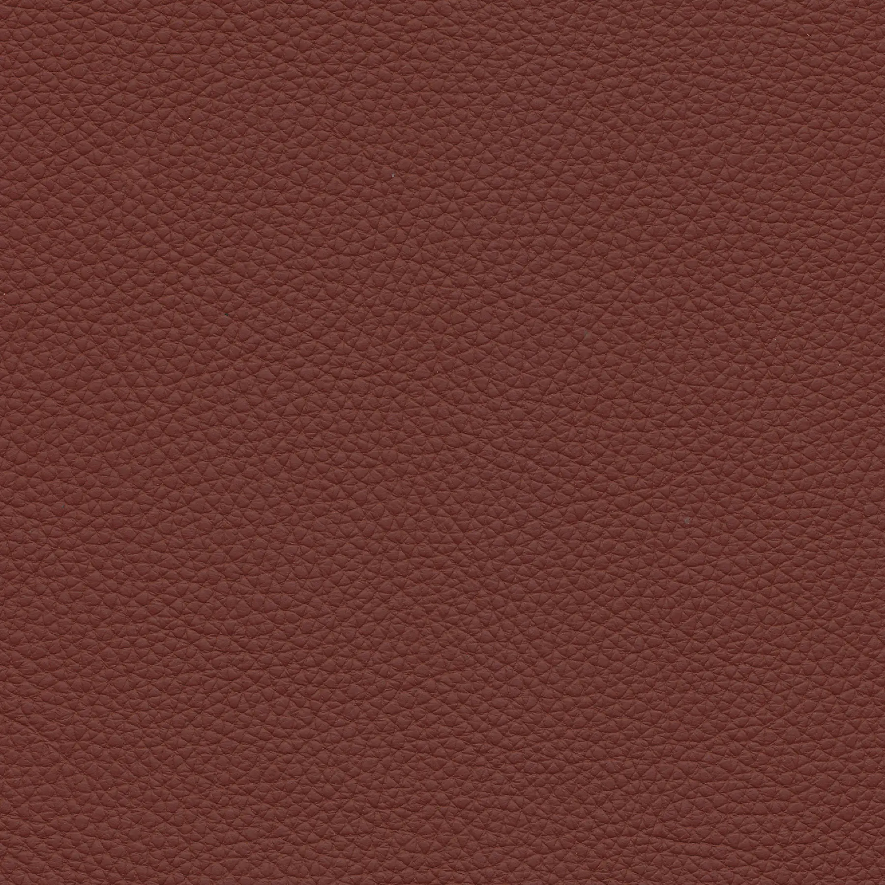 afbeelding van Kleurstaal voor thuis - Toledo Cherry (rood)