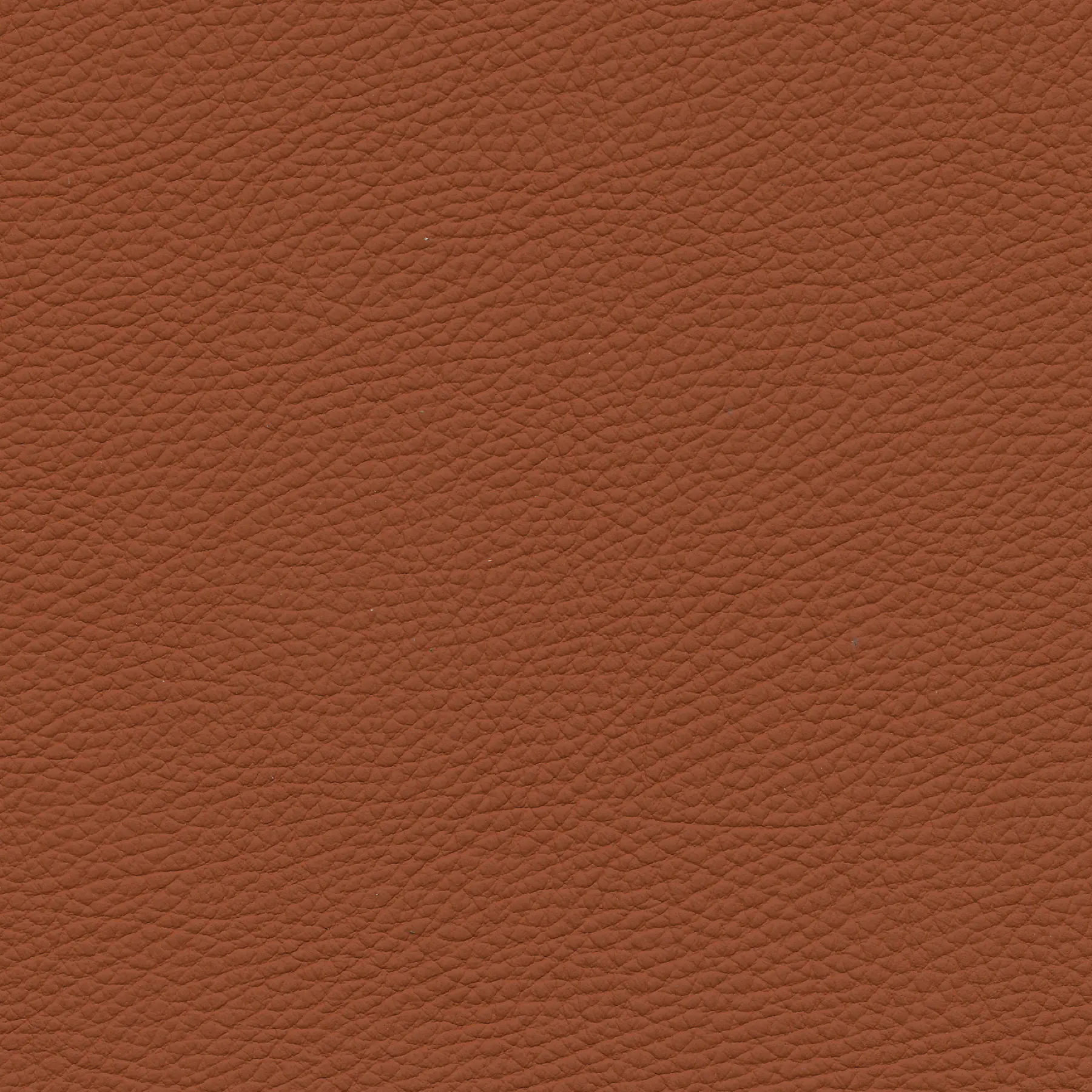 afbeelding van Kleurstaal voor thuis - Toledo Cotto (cognac)