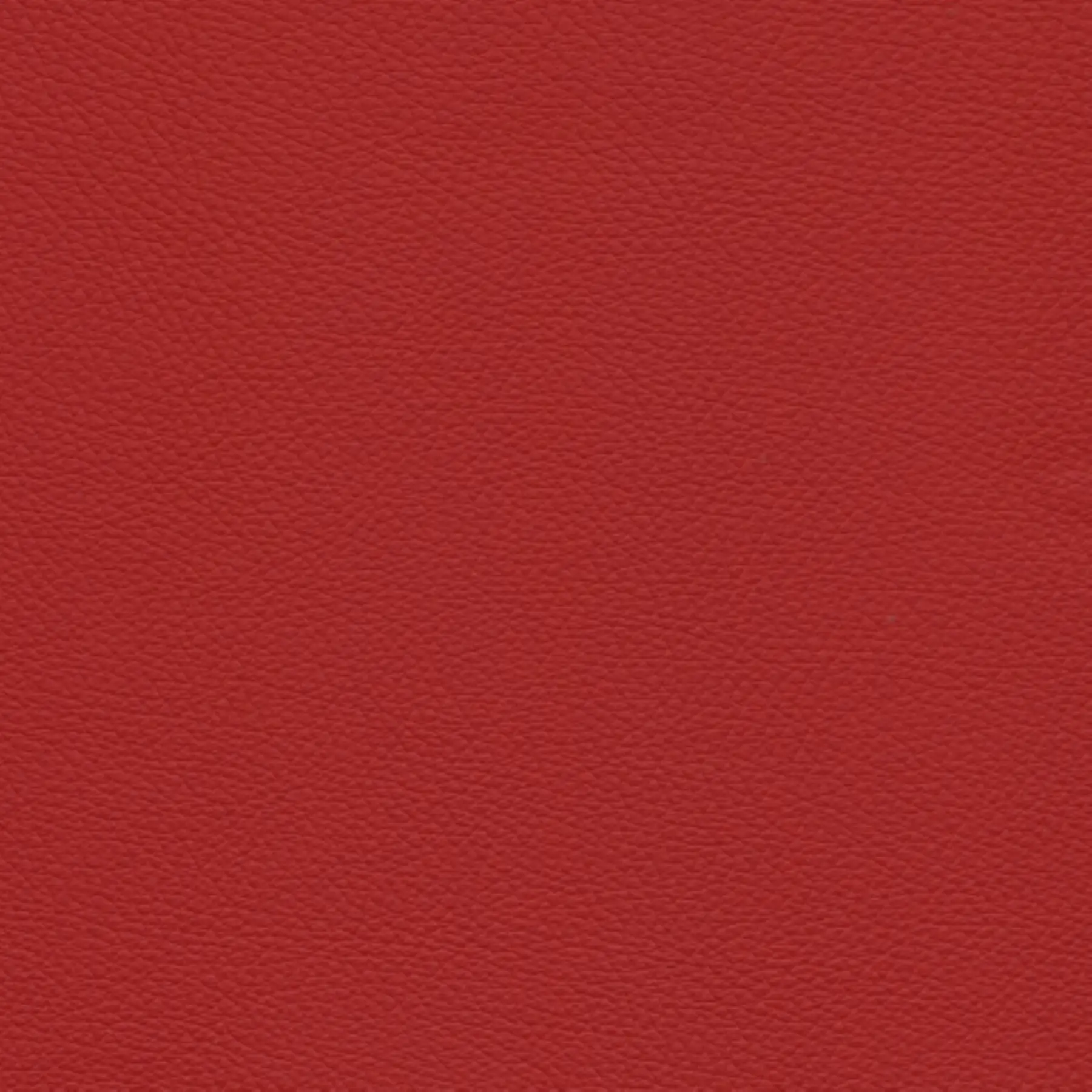 afbeelding van Kleurstaal voor thuis - Toledo Ducati (rood)