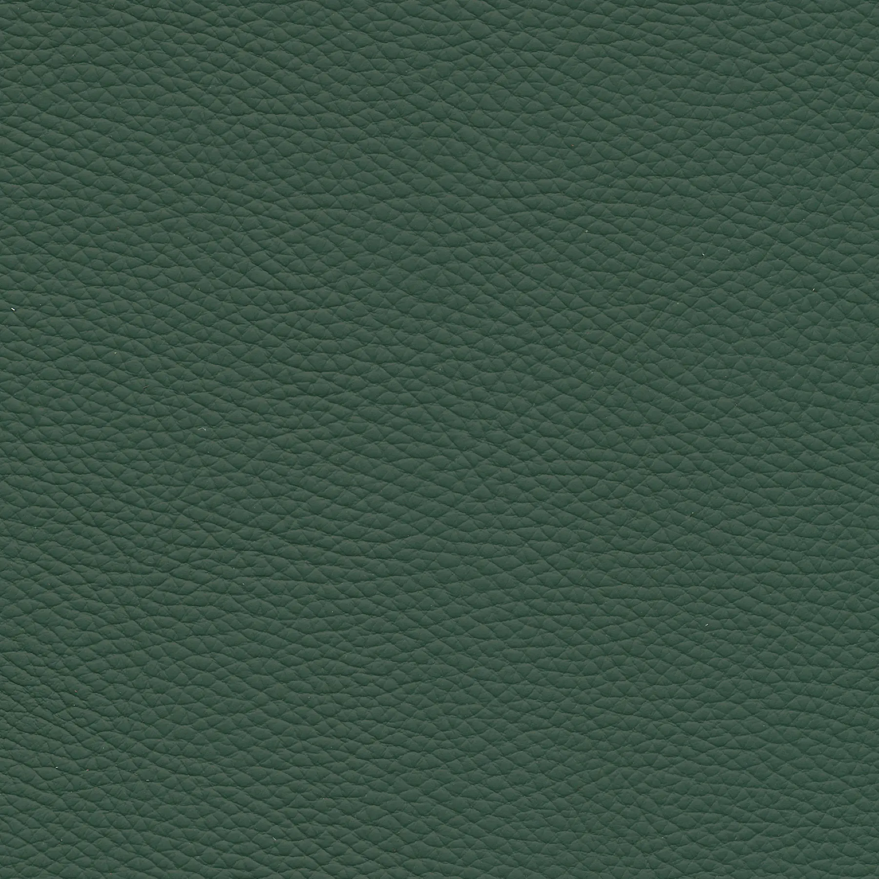 afbeelding van Kleurstaal voor thuis - Toledo Forrest (groen)