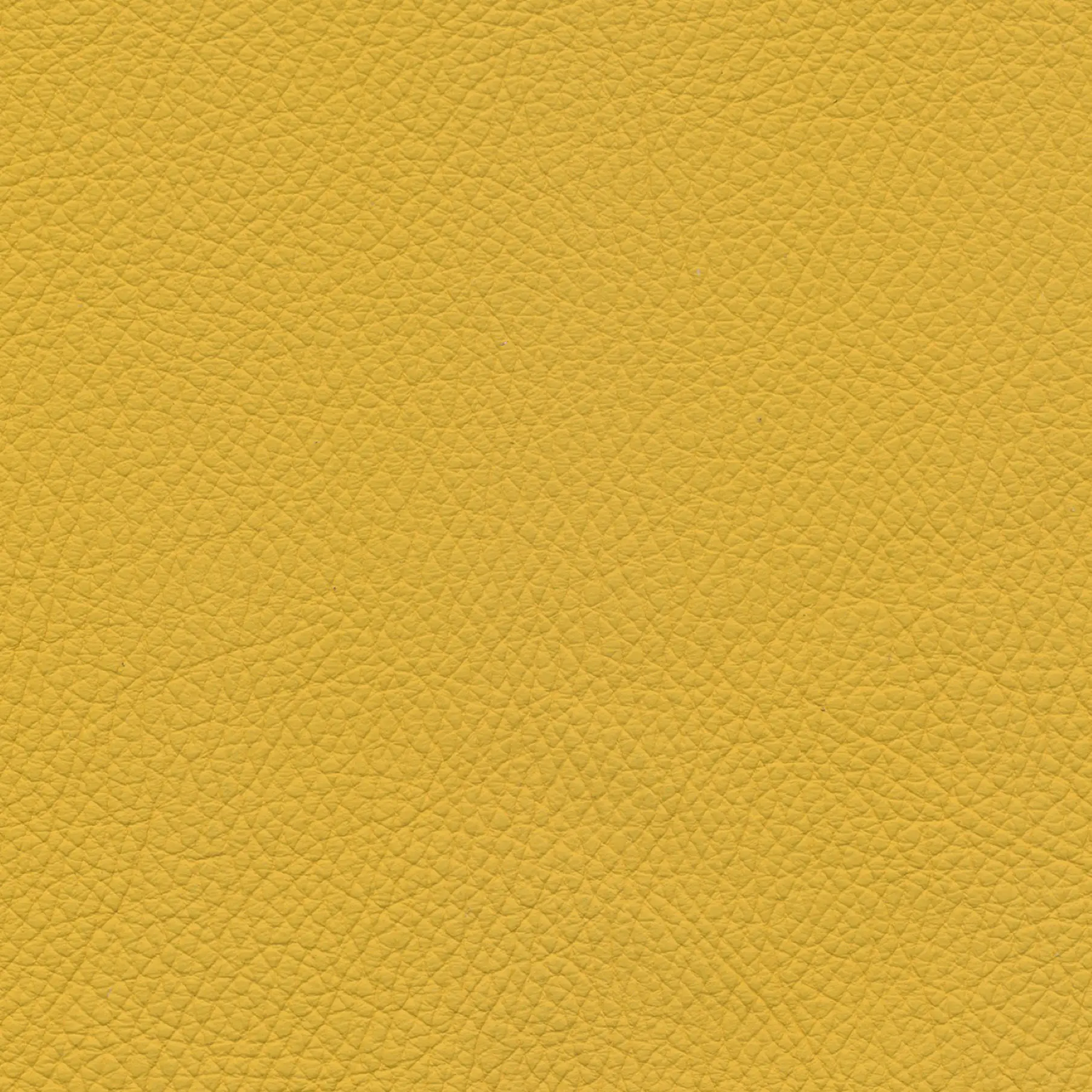 afbeelding van Kleurstaal voor thuis - Toledo Giallo (geel)