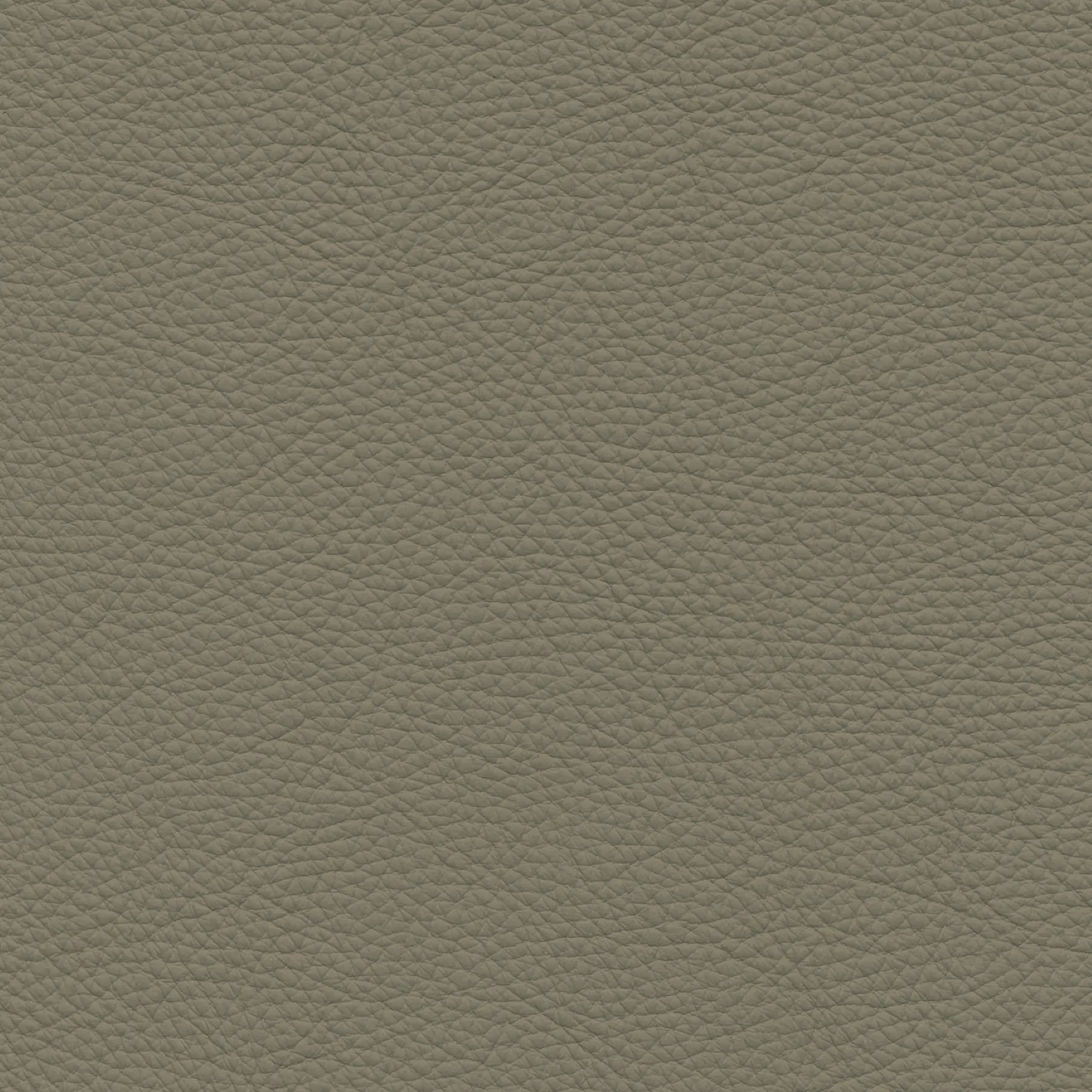 afbeelding van Kleurstaal voor thuis - Toledo Khaki (taupe/bruin)