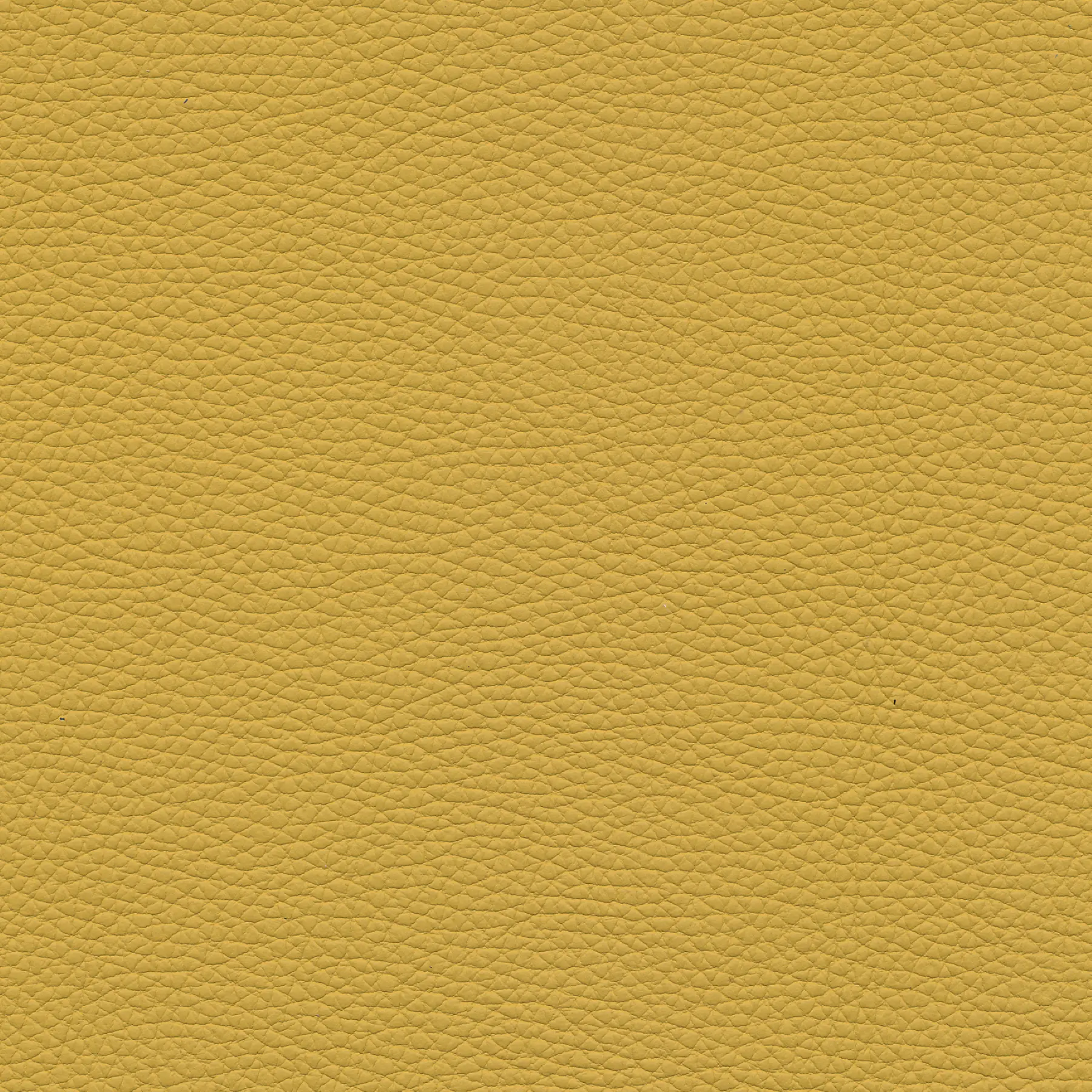 afbeelding van Kleurstaal voor thuis - Toledo Lemon (geel)