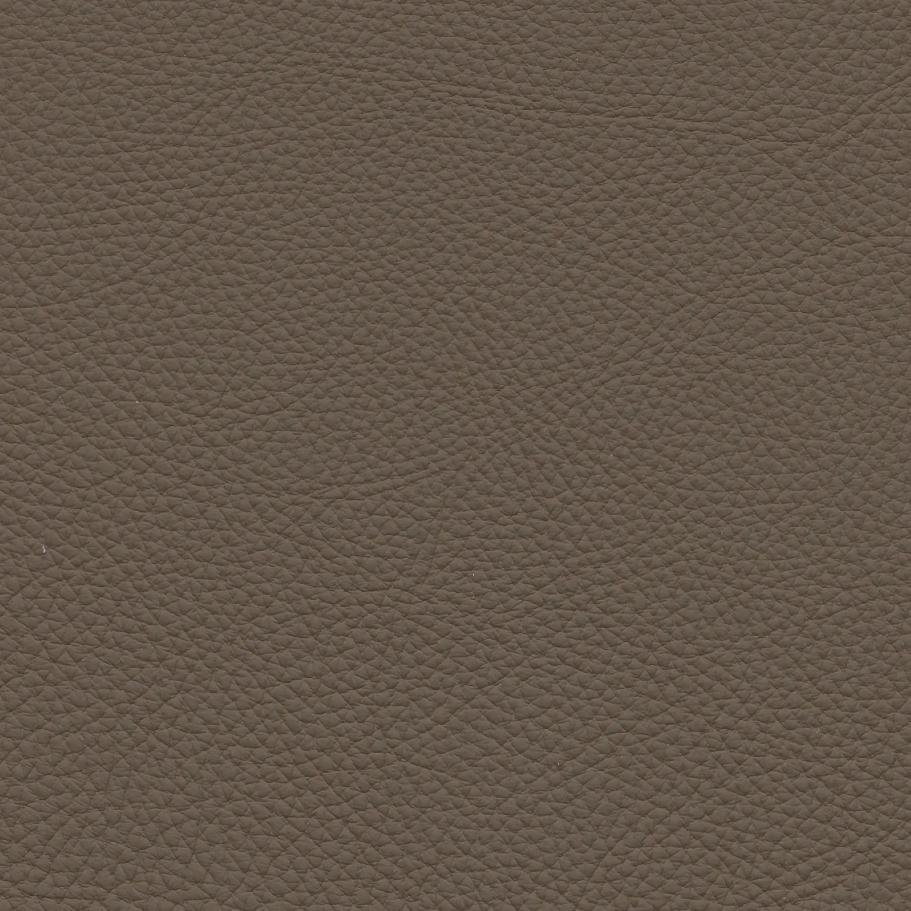 afbeelding van Kleurstaal voor thuis - Toledo Lever (bruin)