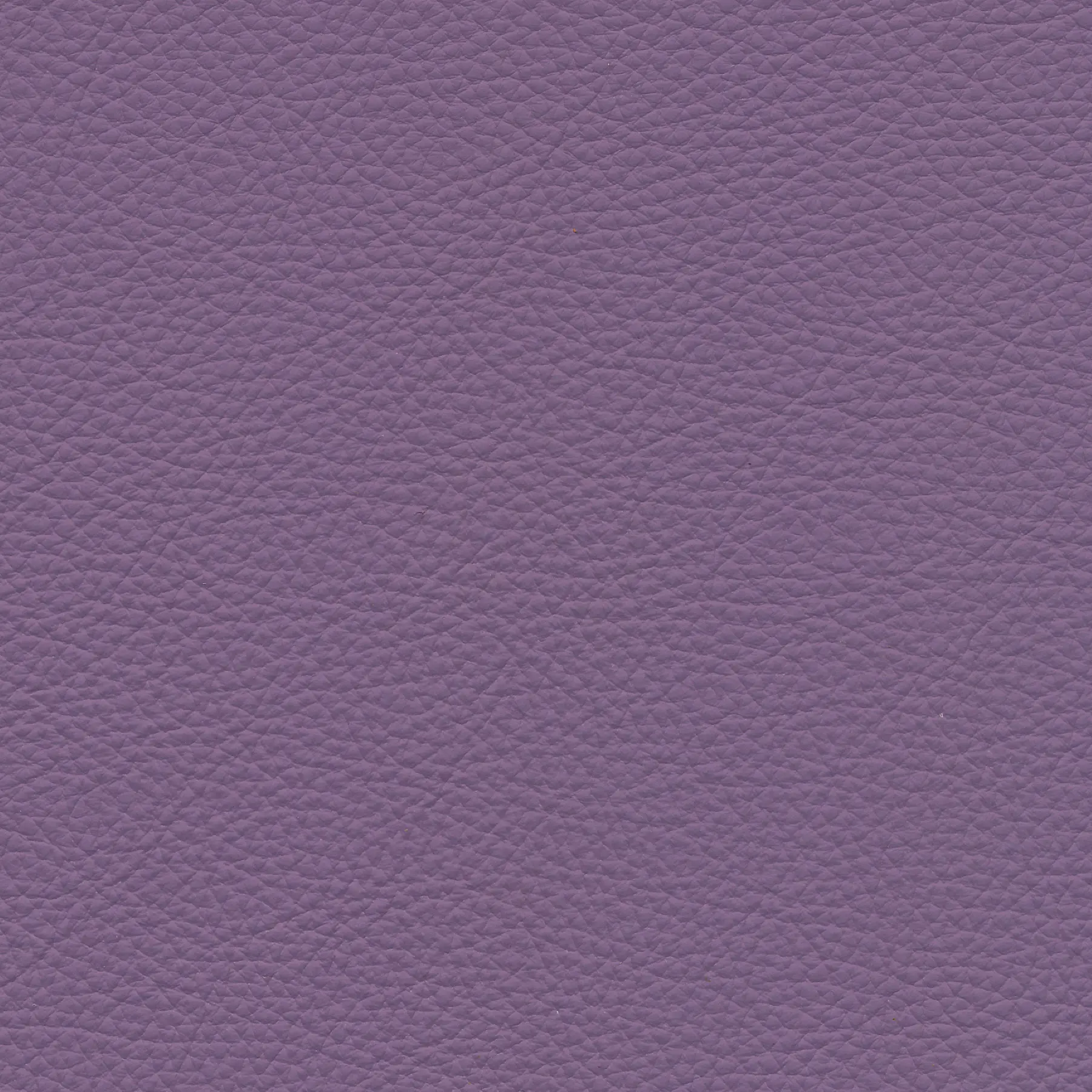 afbeelding van Kleurstaal voor thuis - Toledo Lila (lichtpaars)