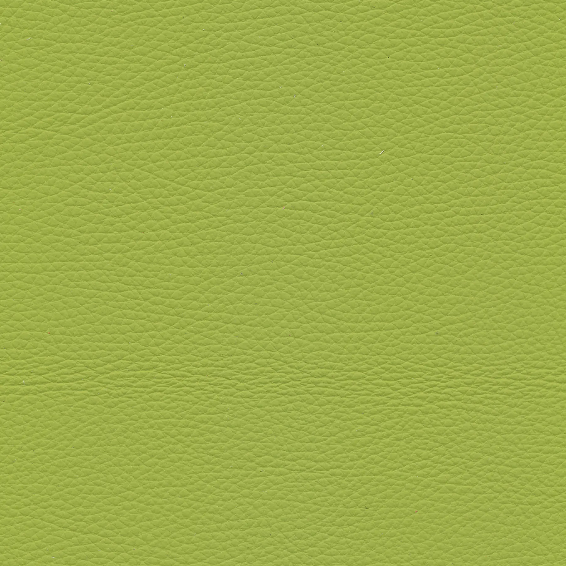 afbeelding van Kleurstaal voor thuis - Toledo Lime (felgroen)